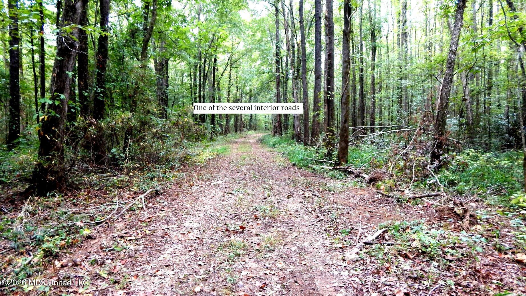 180 County Road 611 Country Road Property Photo 10