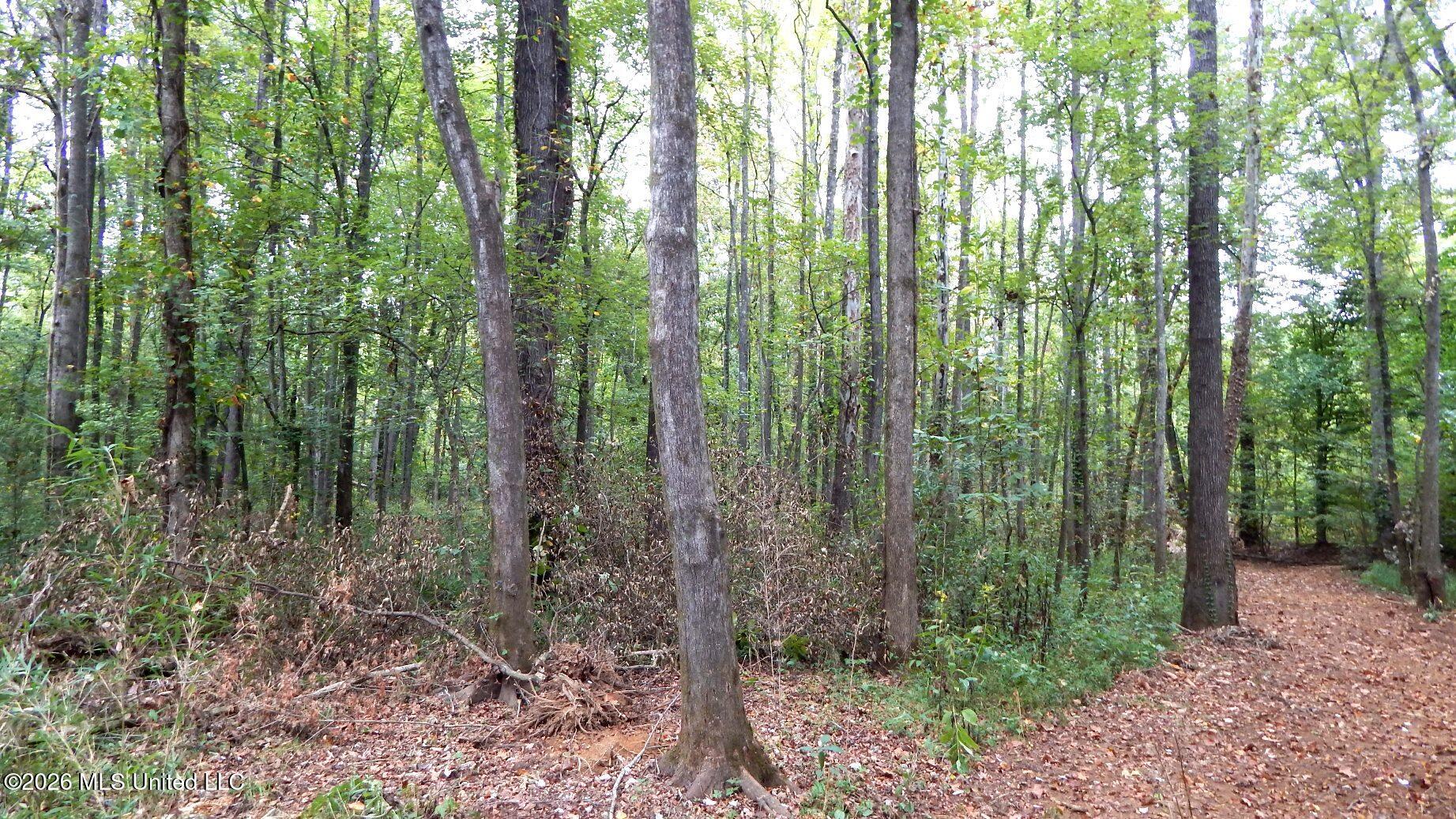 180 County Road 611 Country Road Property Photo 12