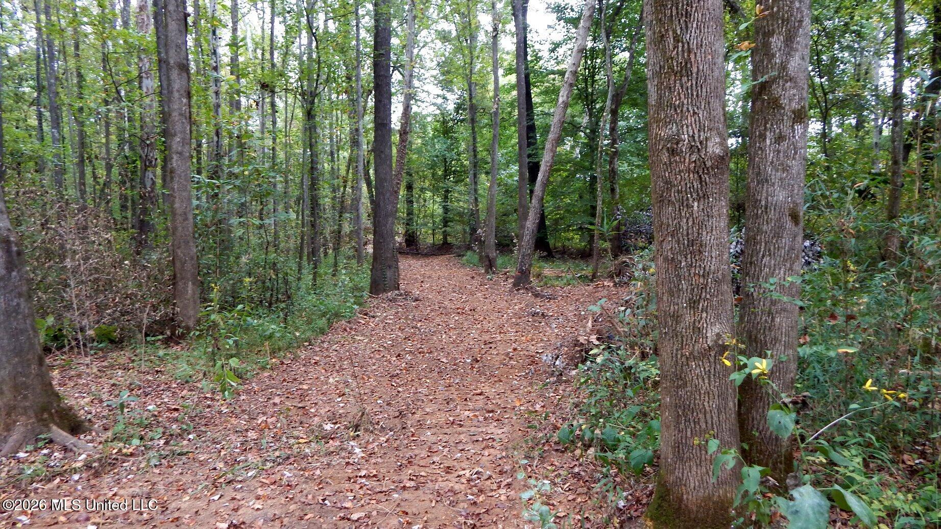 180 County Road 611 Country Road Property Photo 13