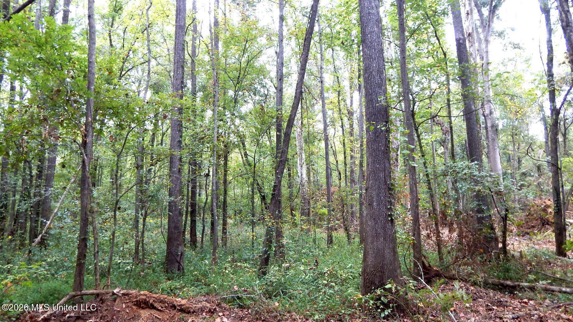 180 County Road 611 Country Road Property Photo 14
