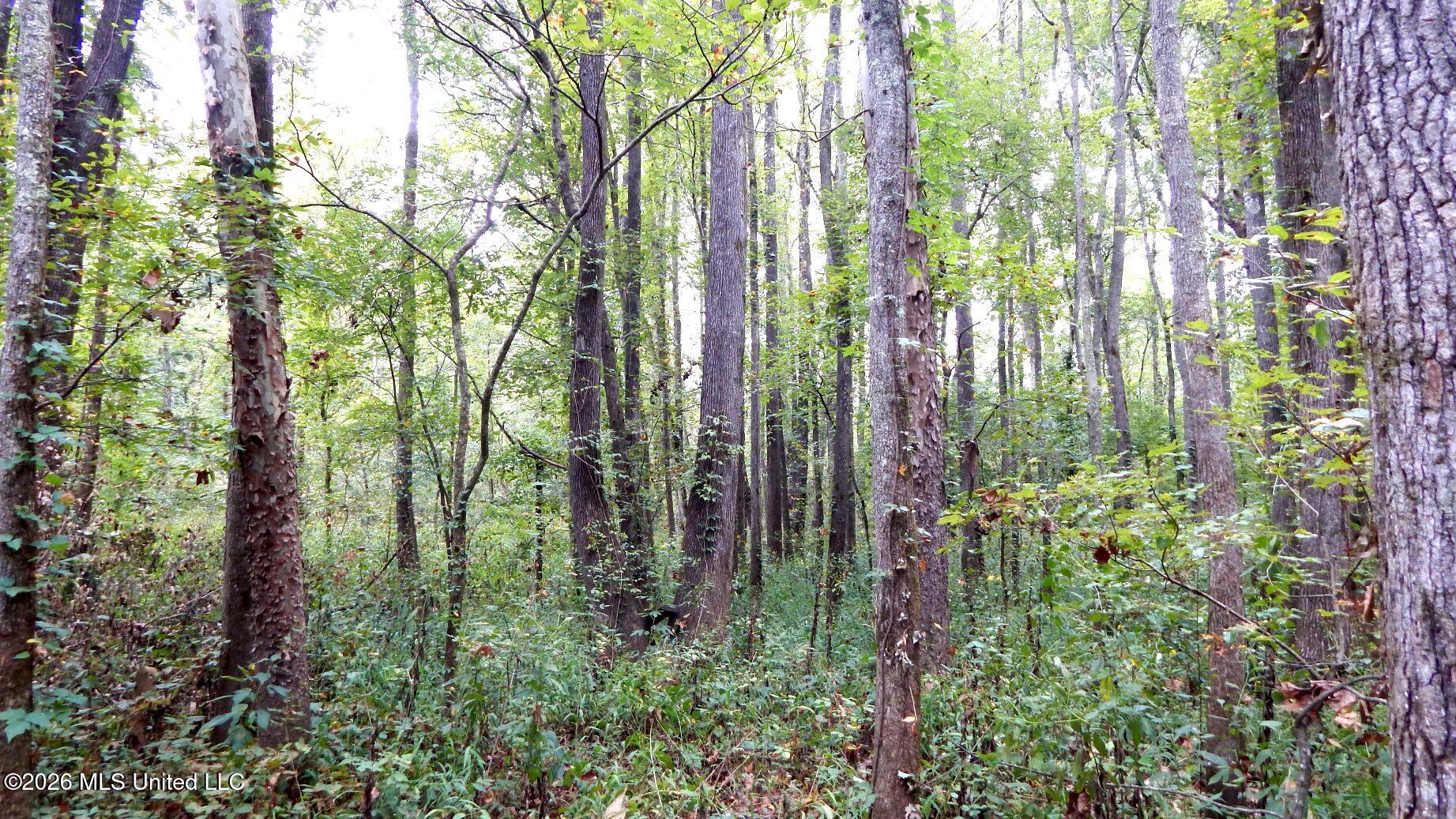 180 County Road 611 Country Road Property Photo 15