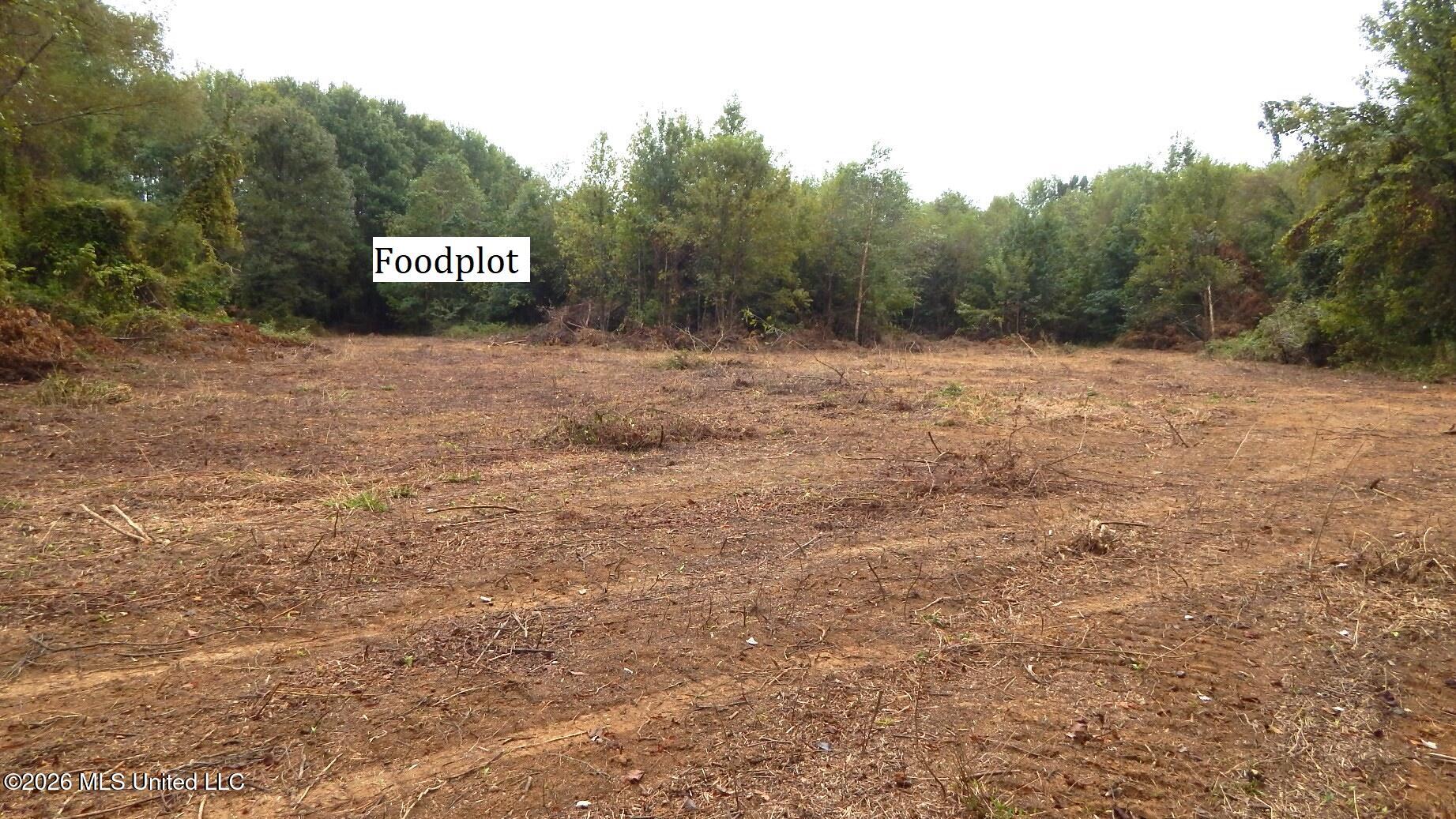 180 County Road 611 Country Road Property Photo 18
