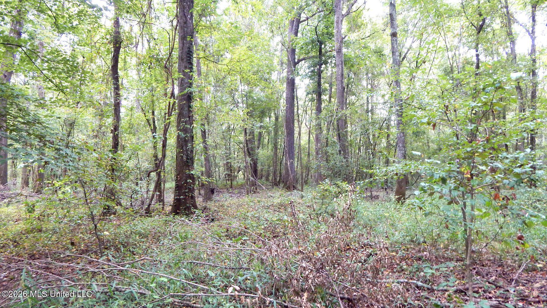 180 County Road 611 Country Road Property Photo 20