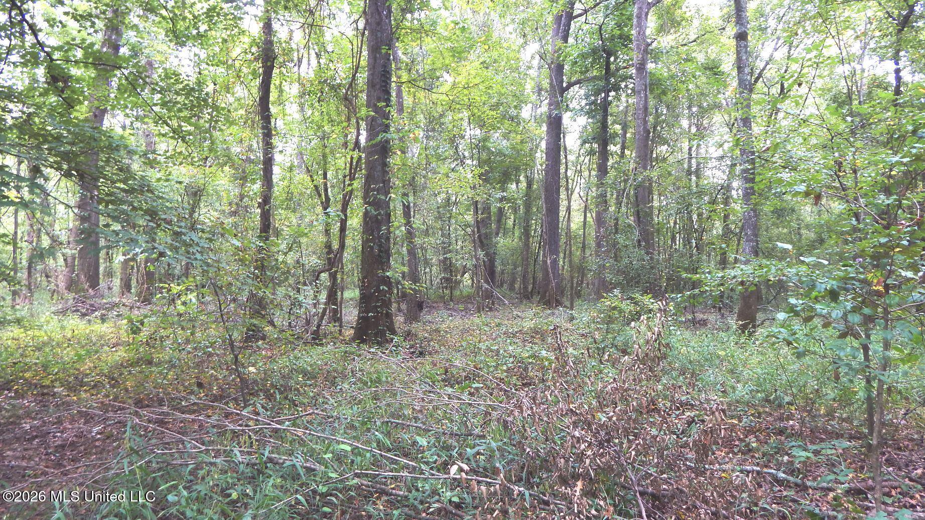 180 County Road 611 Country Road Property Photo 21
