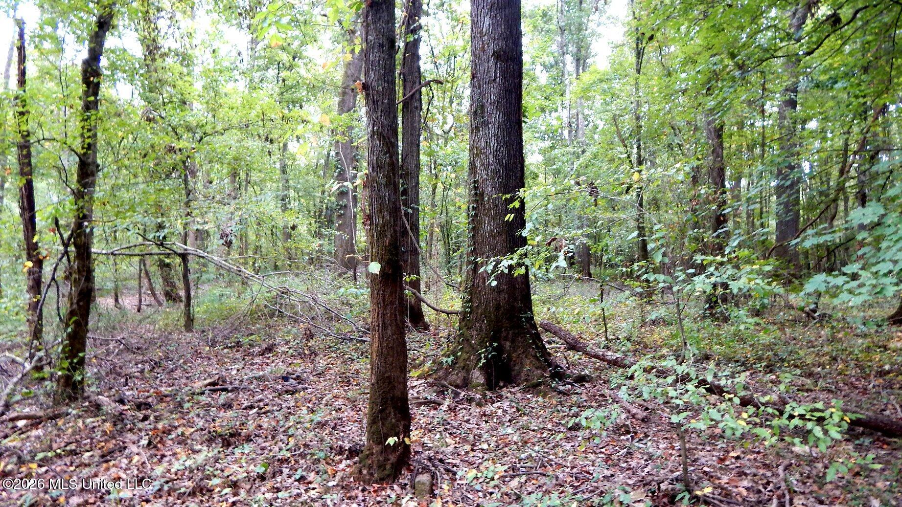 180 County Road 611 Country Road Property Photo 22