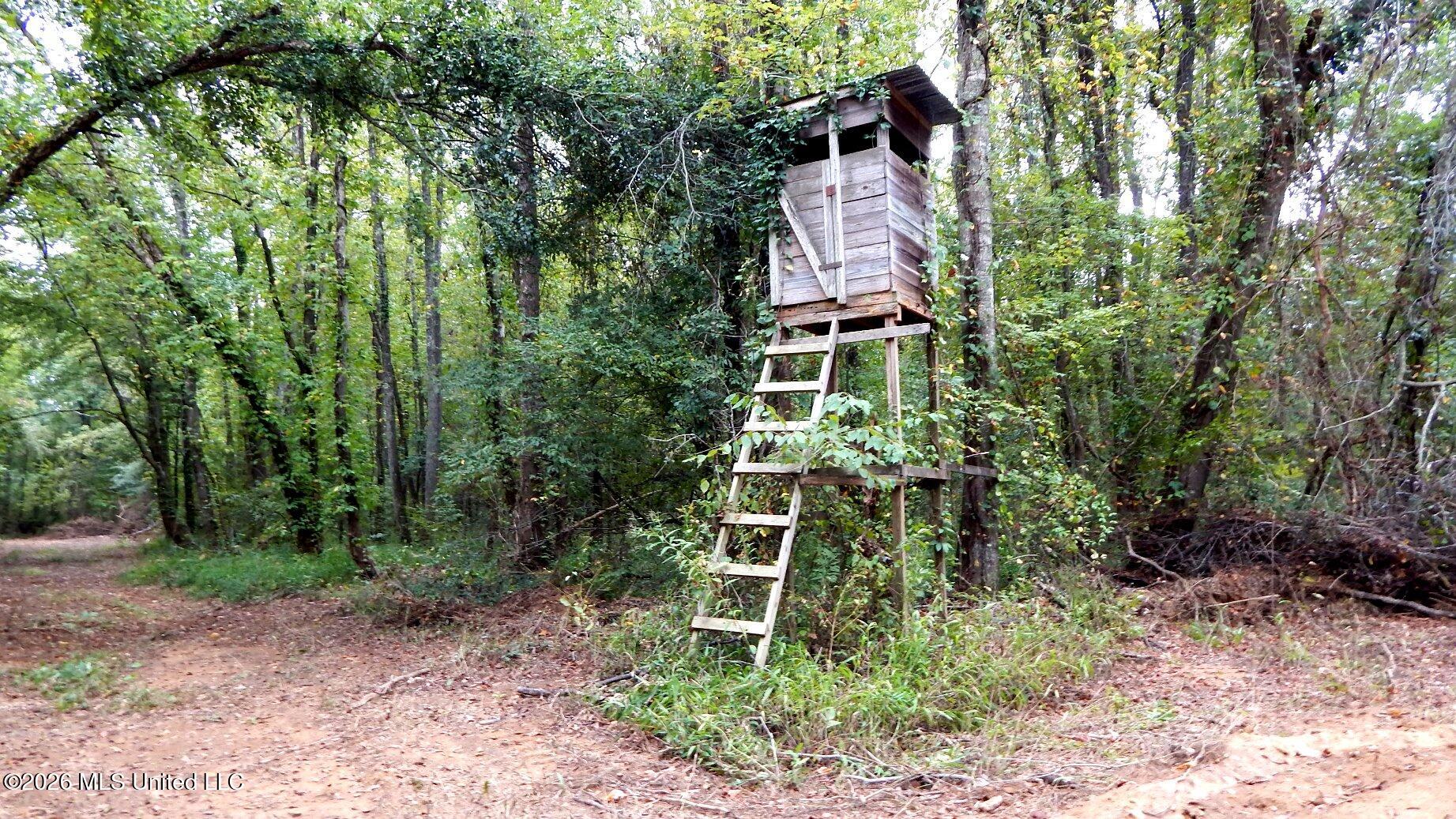 180 County Road 611 Country Road Property Photo 24