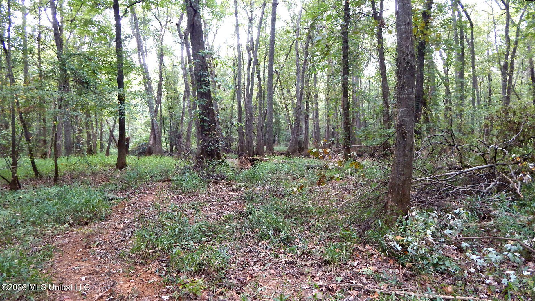180 County Road 611 Country Road Property Photo 25