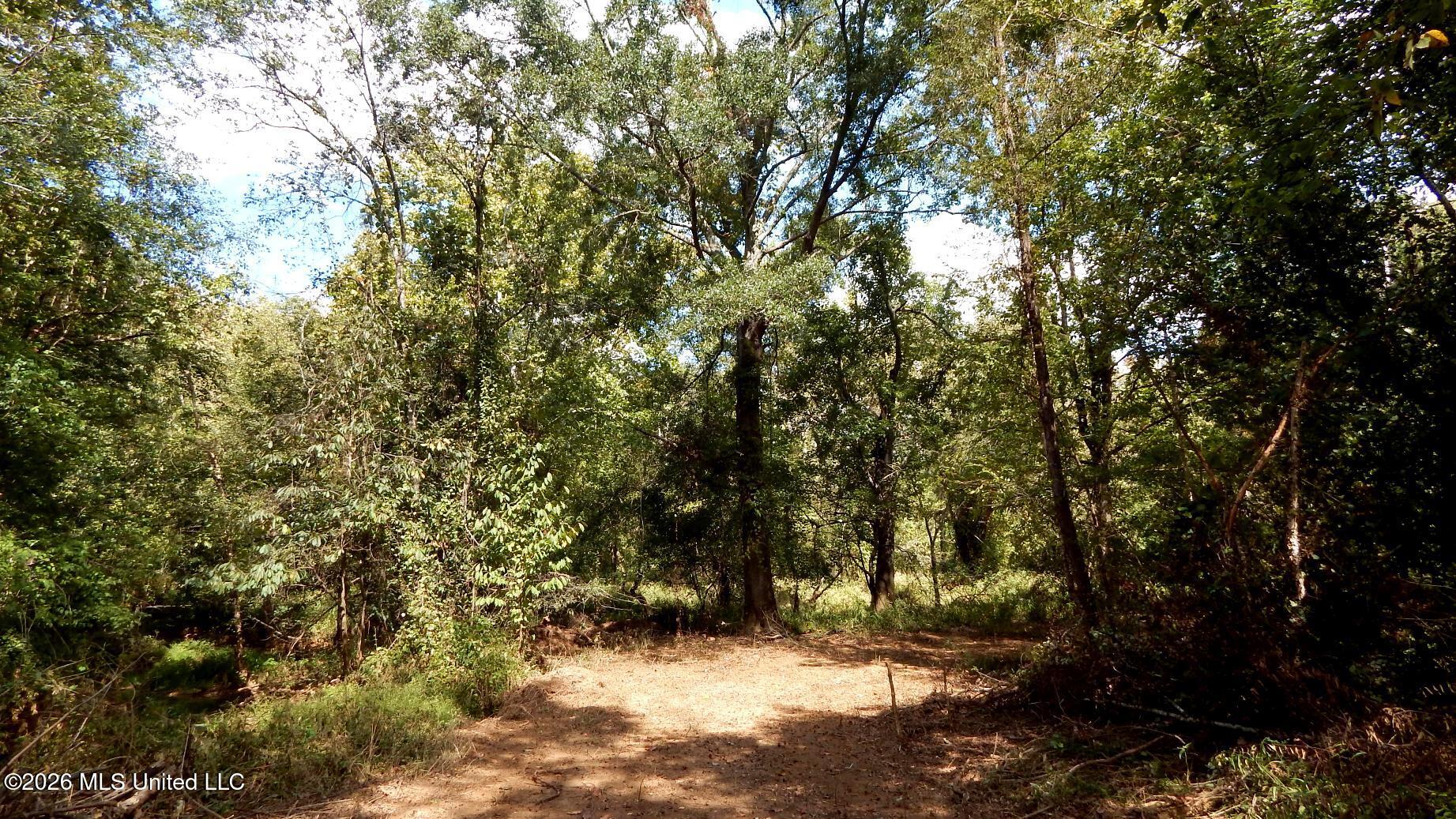 180 County Road 611 Country Road Property Photo 27