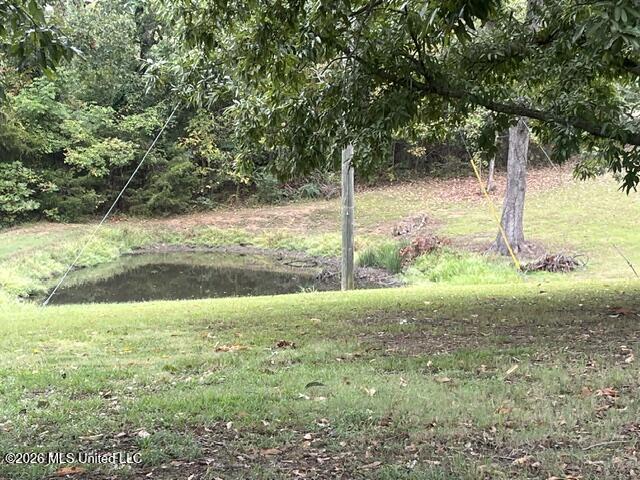 16 Shankle Drive Property Photo 17