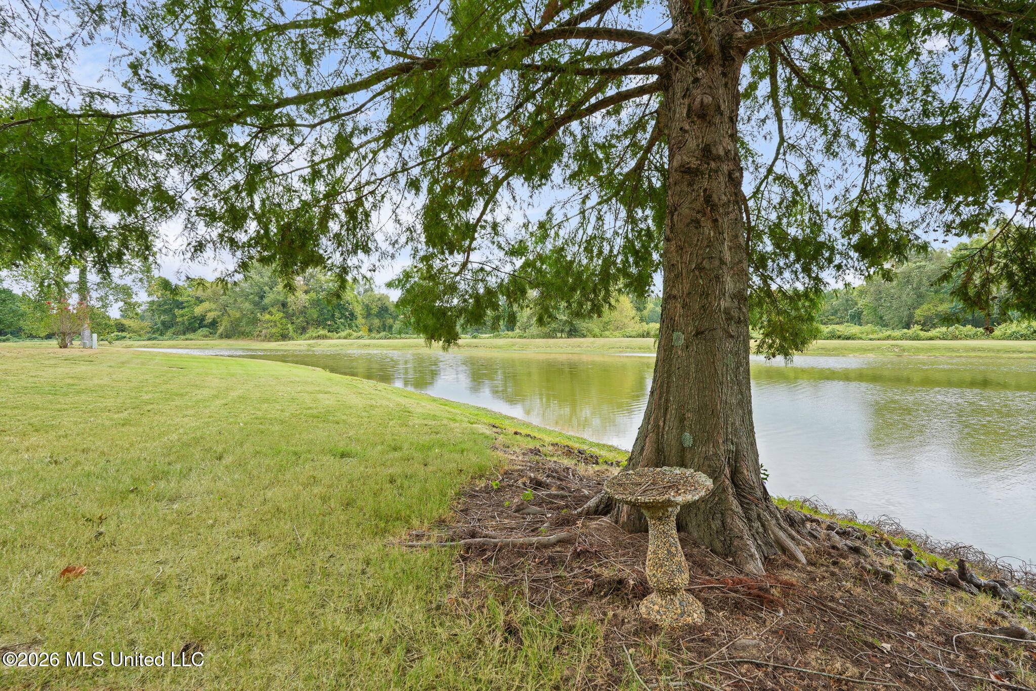 6234 Cheyenne Drive Property Photo 33
