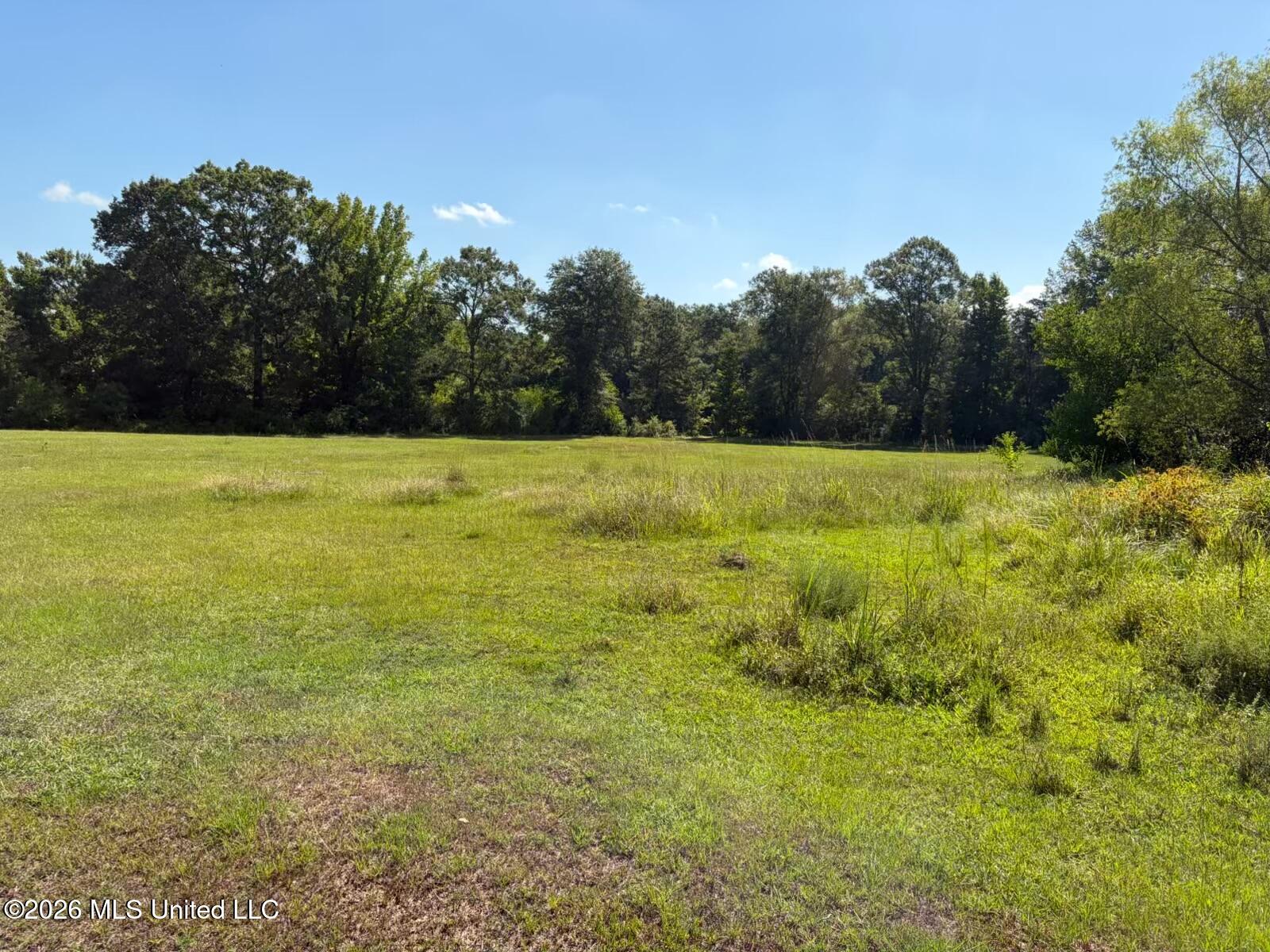 1046 Mullins Property Photo 37