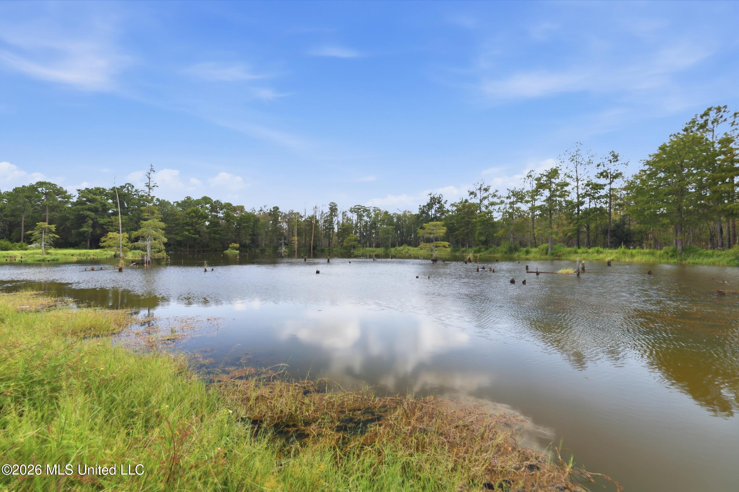 12448 Lorraine Road Property Photo 4