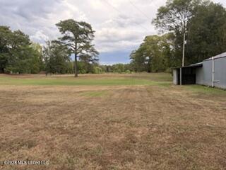 1310 Jones Loop Property Photo 8