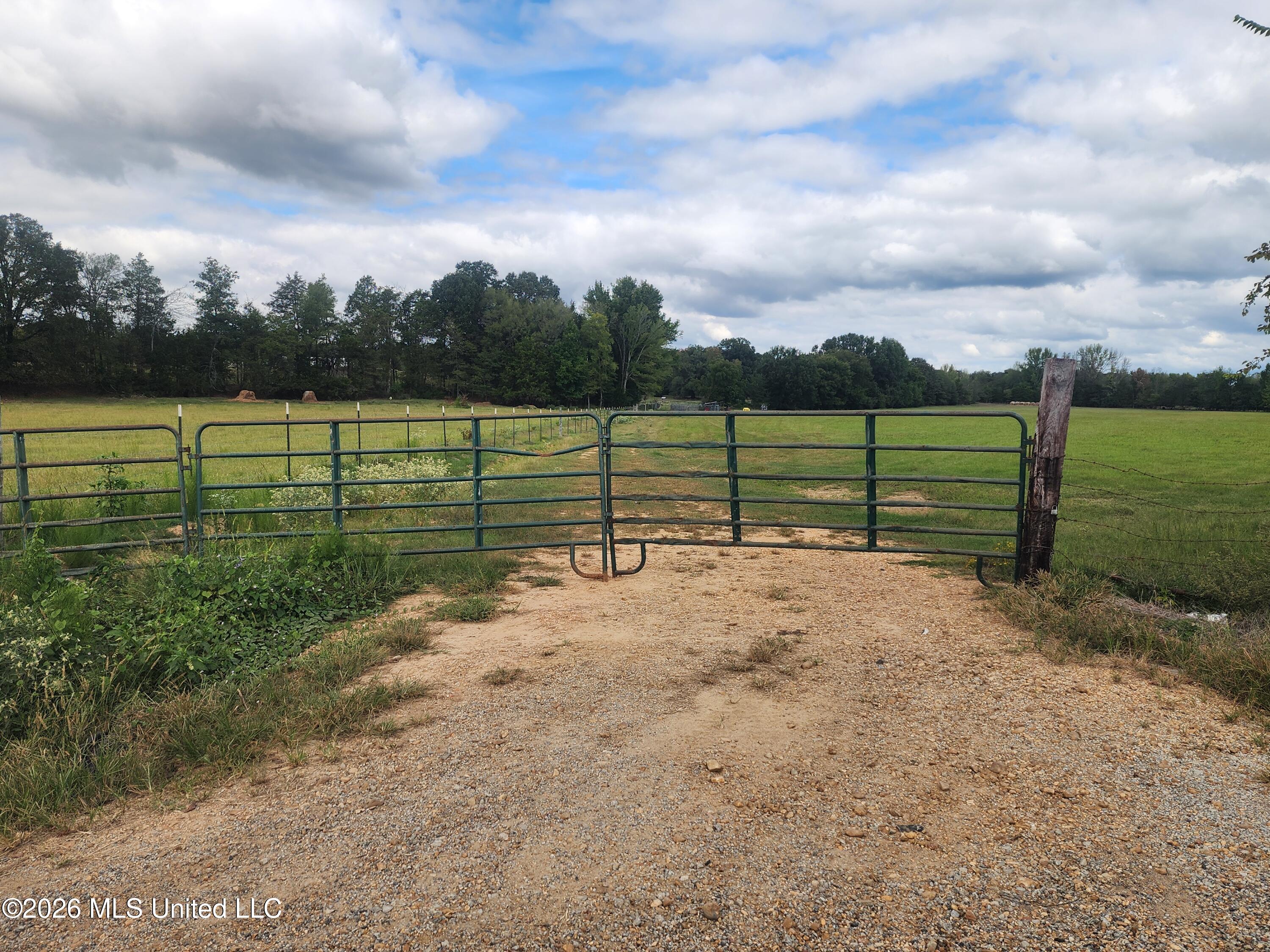 58 Rowell Road Property Photo 3