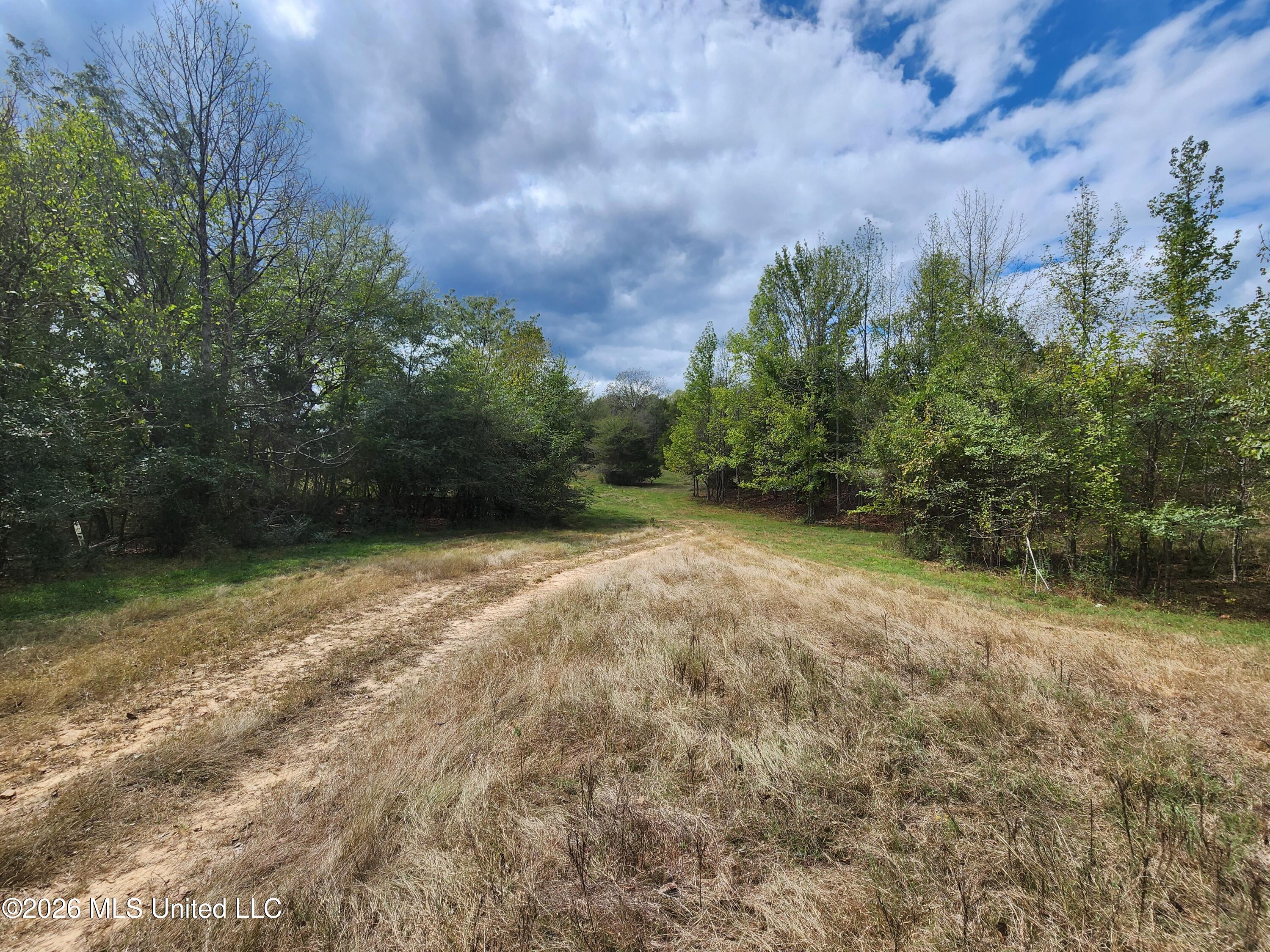 58 Rowell Road Property Photo 4