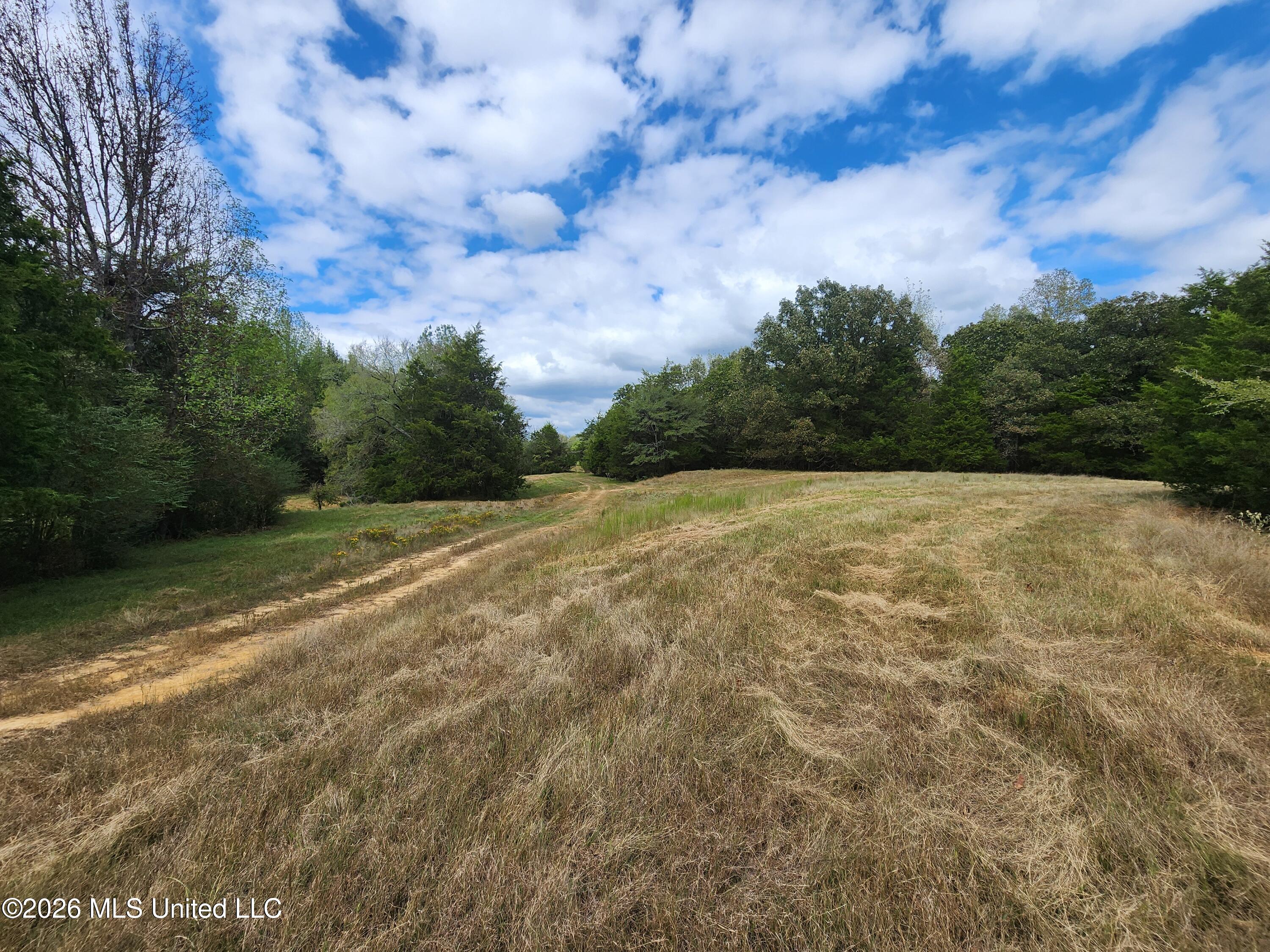 58 Rowell Road Property Photo 5