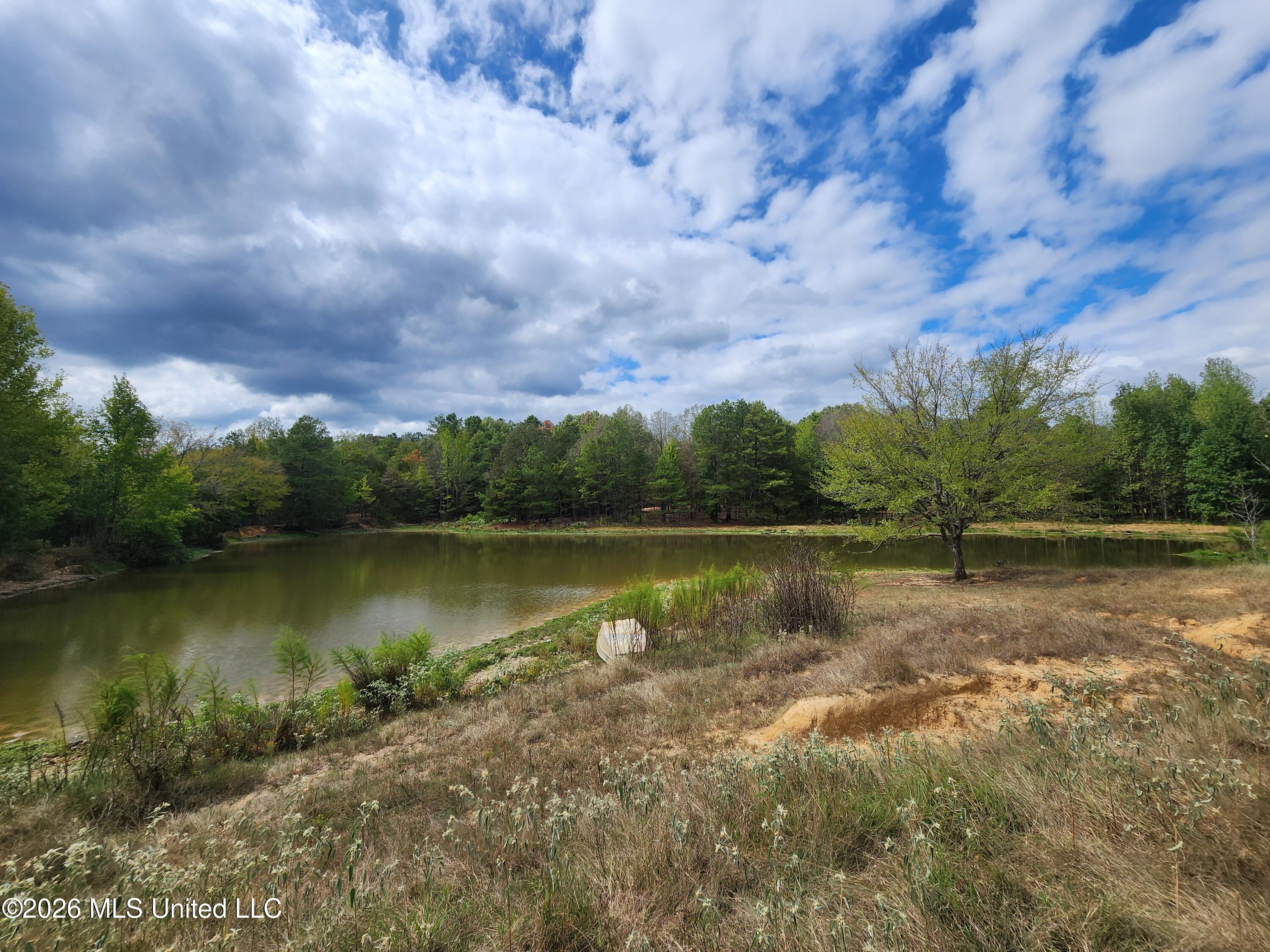 58 Rowell Road Property Photo 6