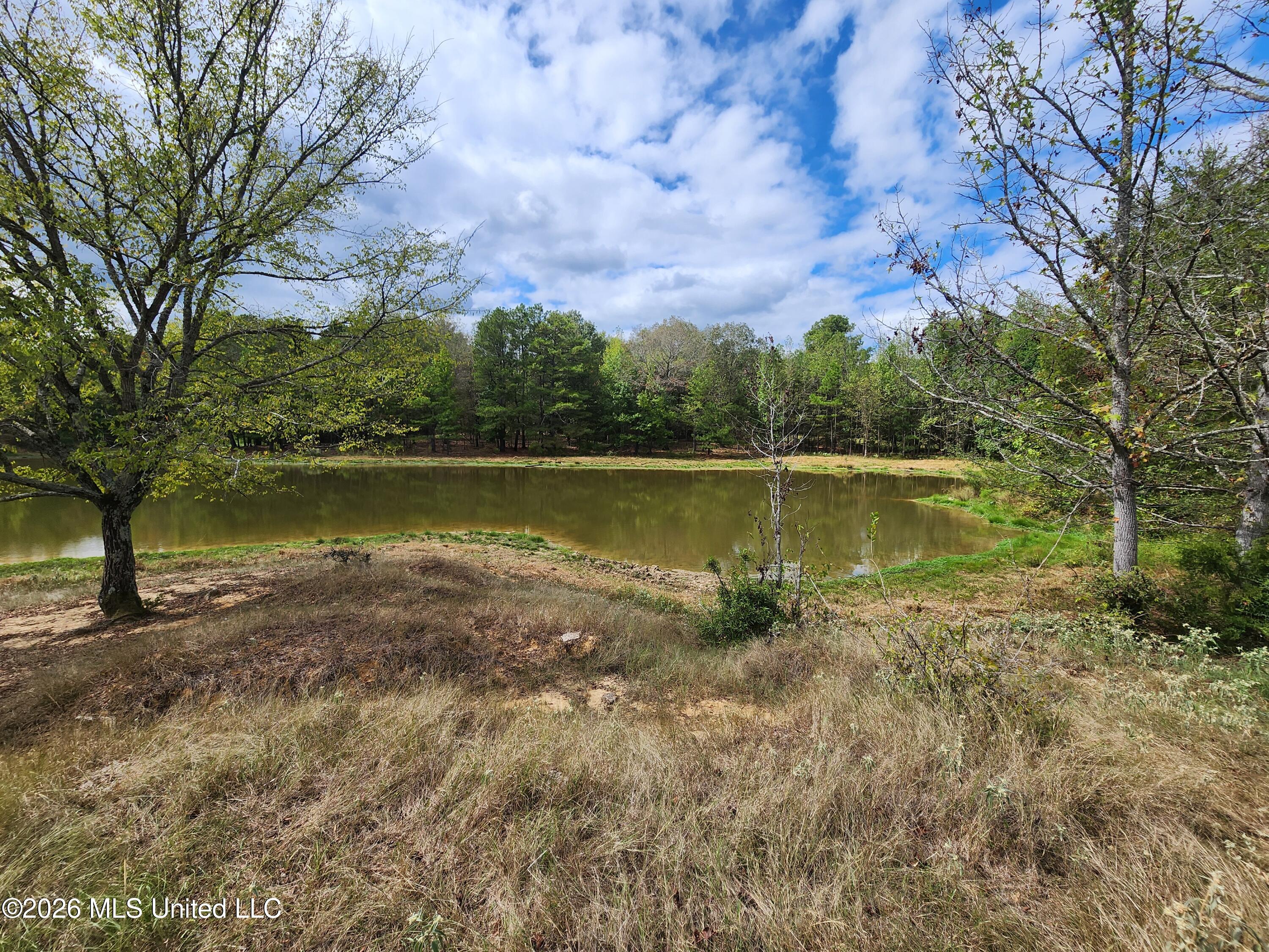 58 Rowell Road Property Photo 8
