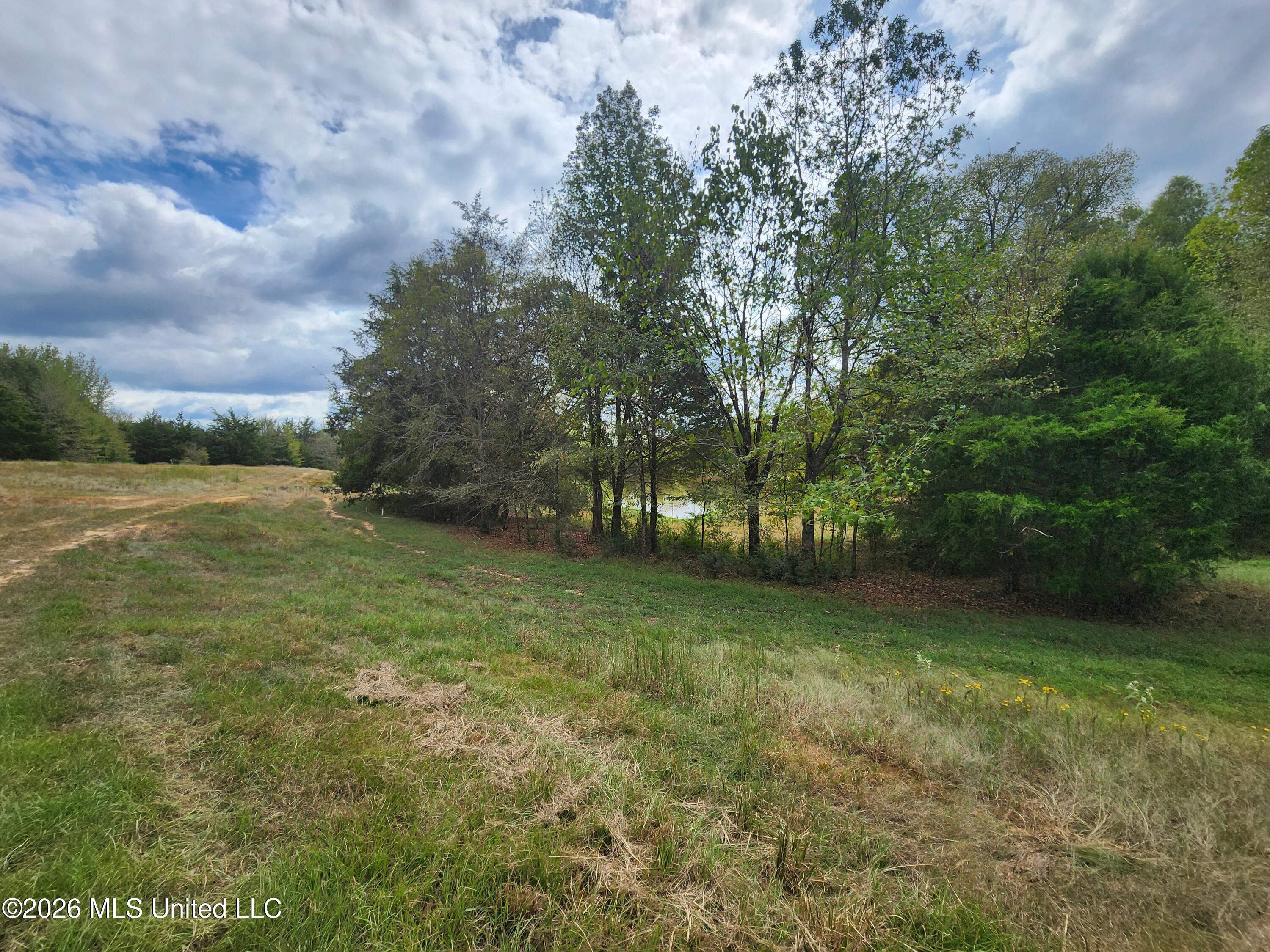 58 Rowell Road Property Photo 10