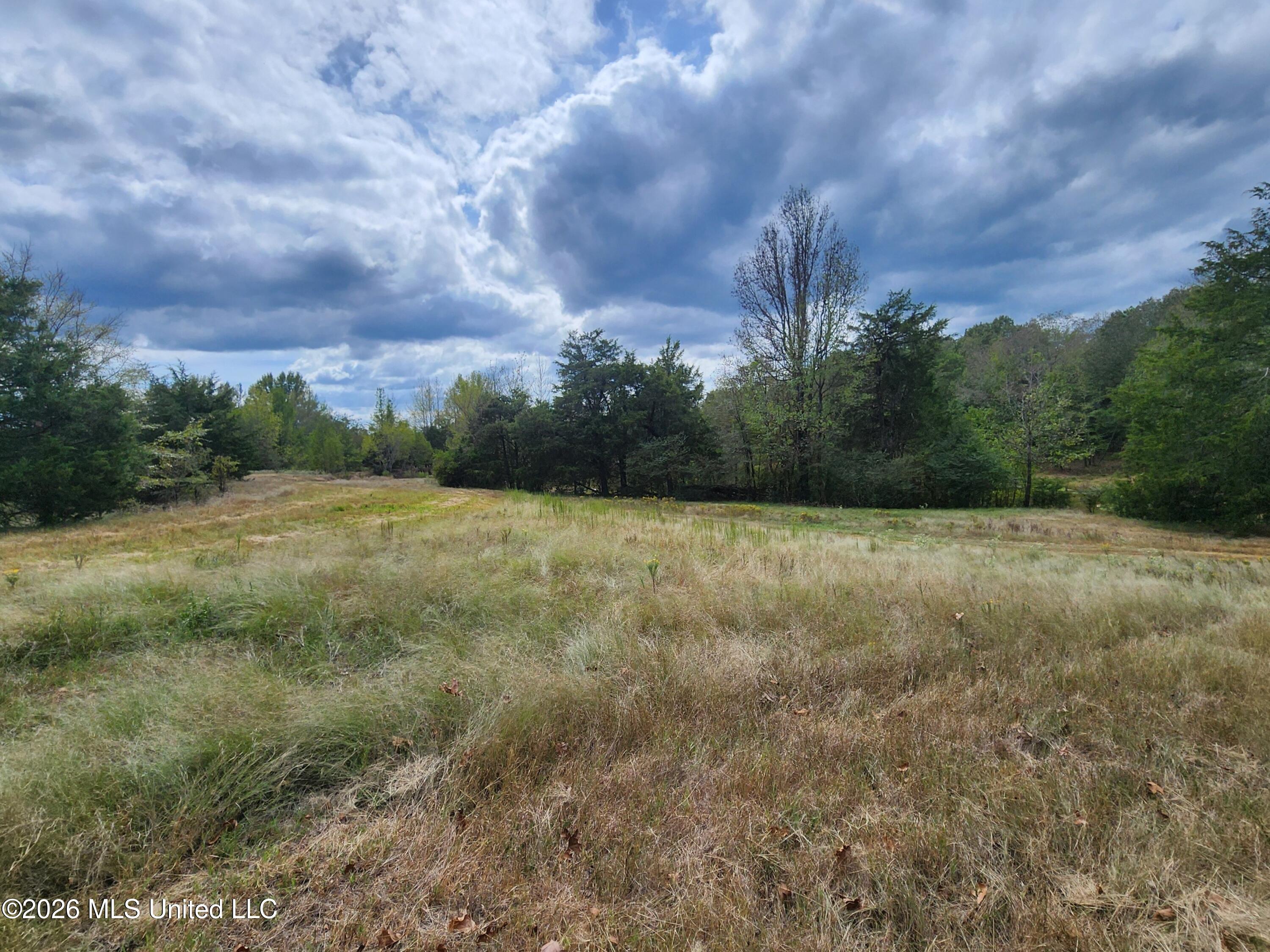 58 Rowell Road Property Photo 11