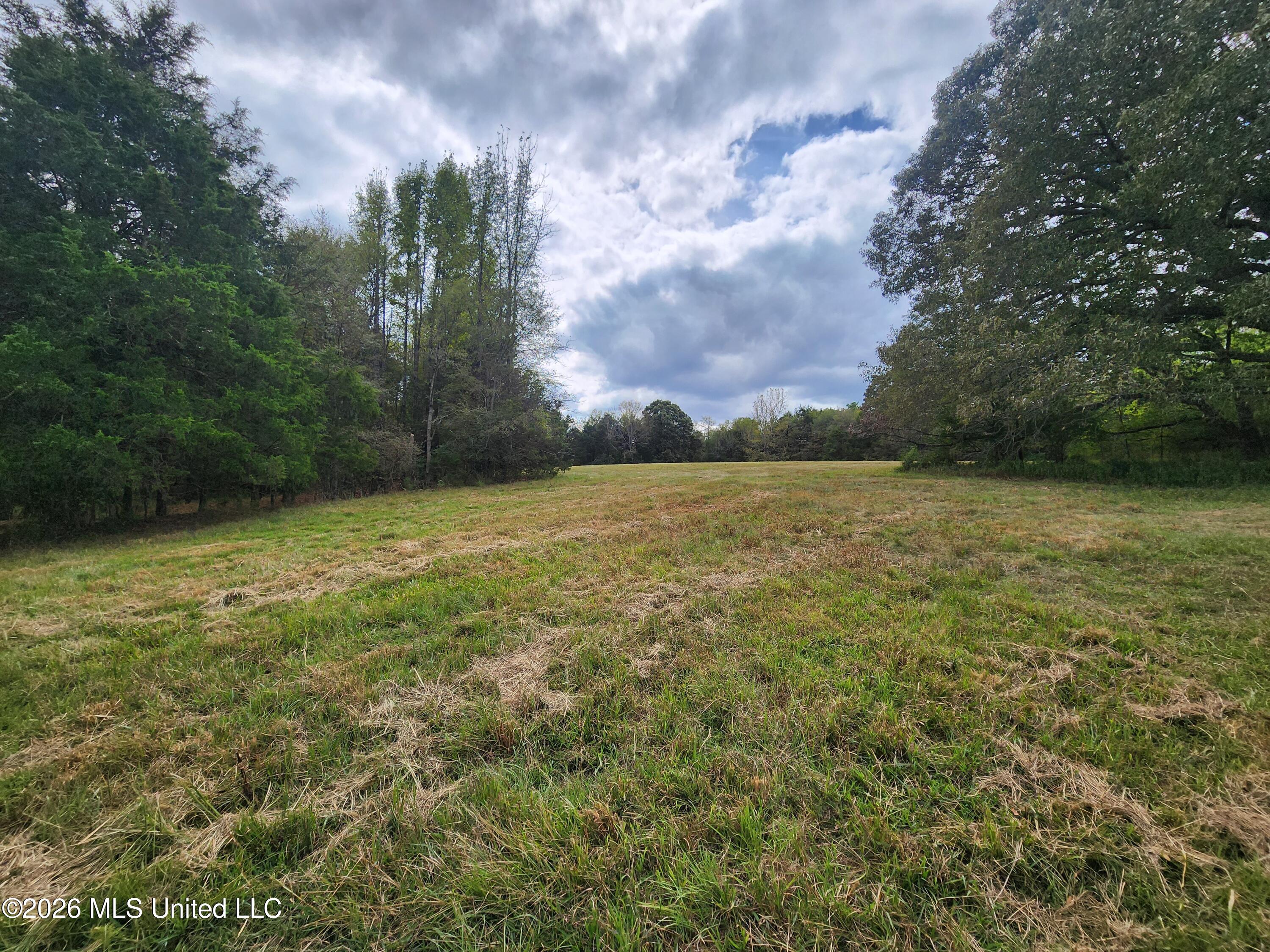 58 Rowell Road Property Photo 12
