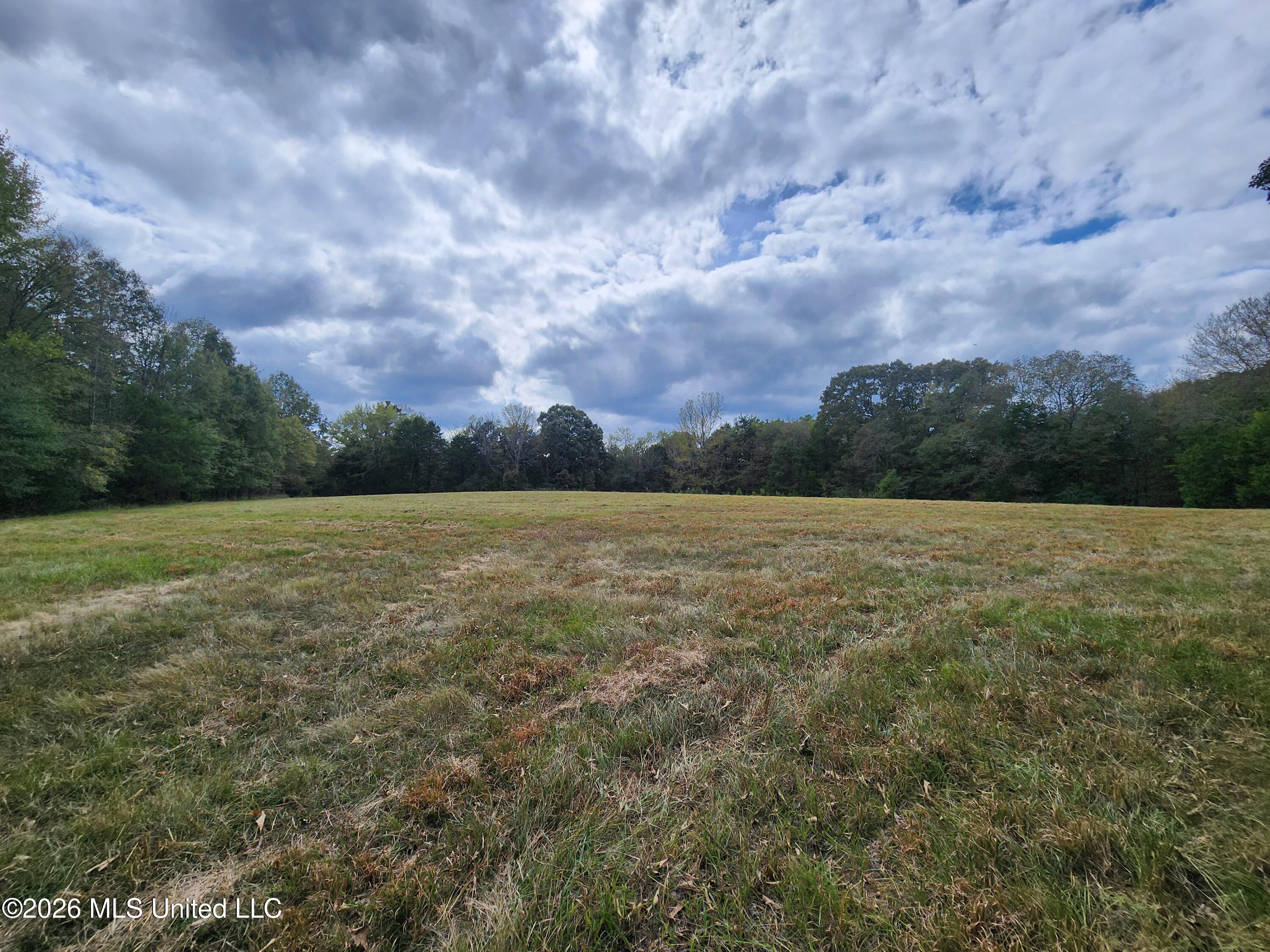 58 Rowell Road Property Photo 13