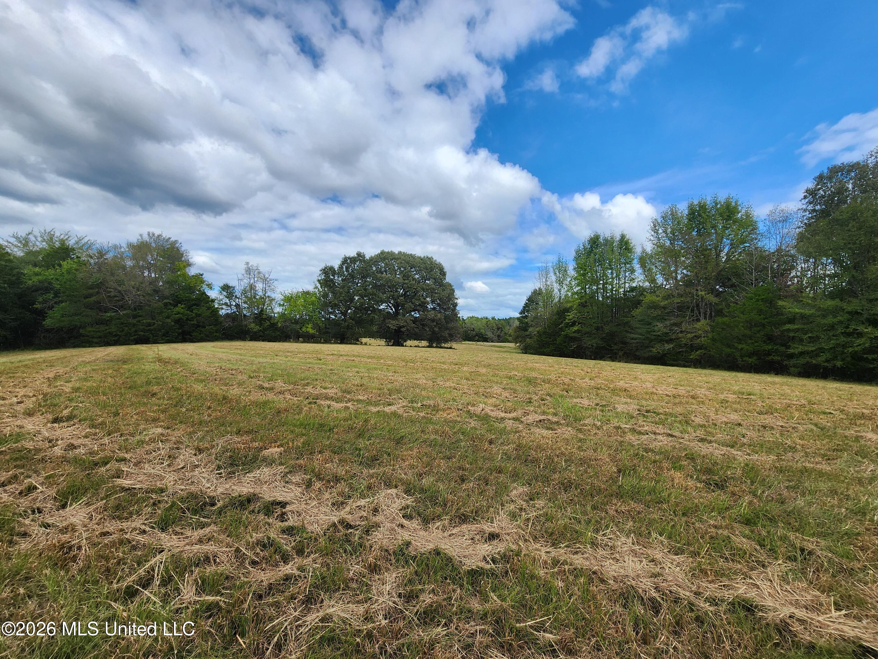 58 Rowell Road Property Photo 14