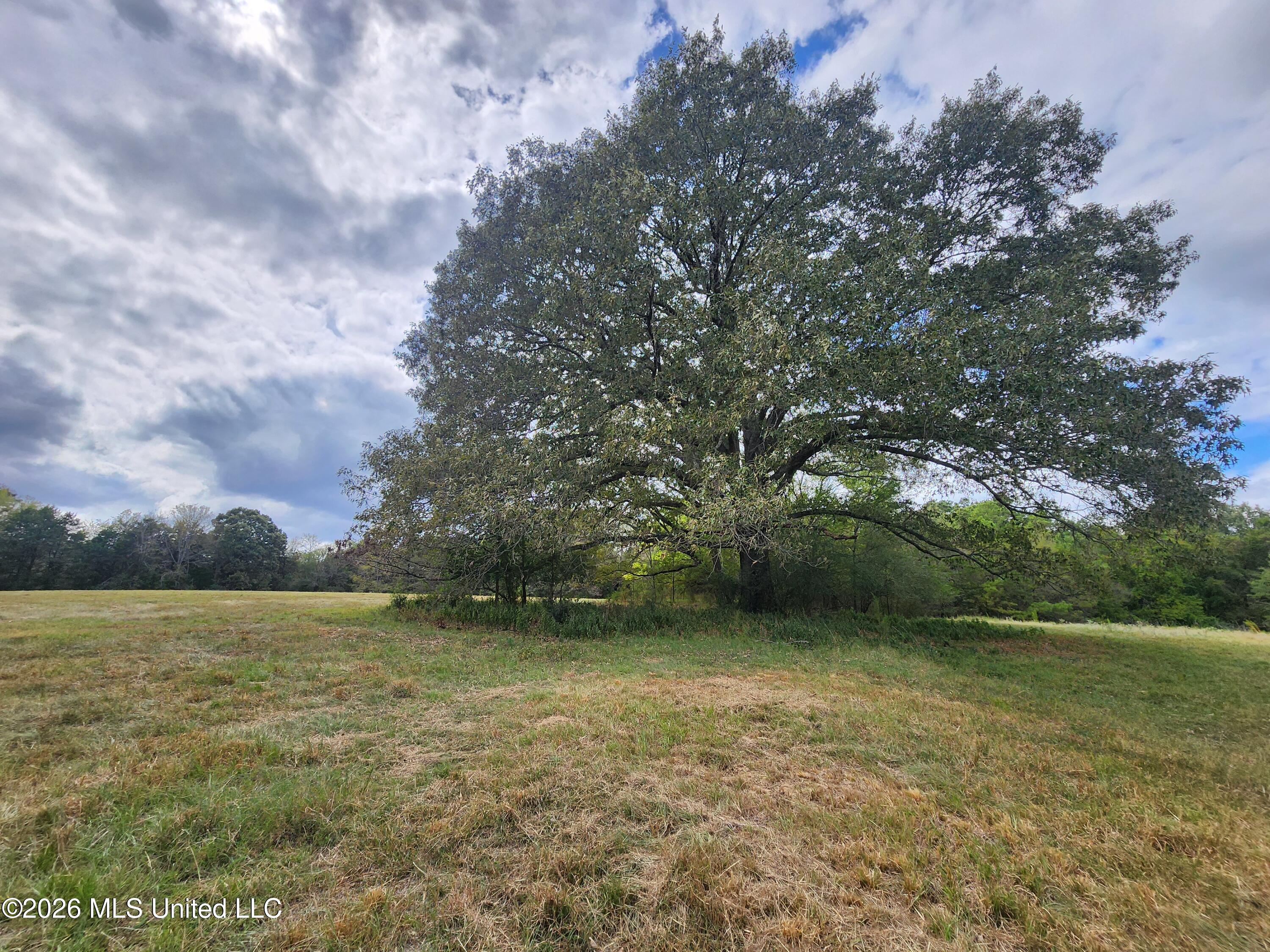58 Rowell Road Property Photo 15
