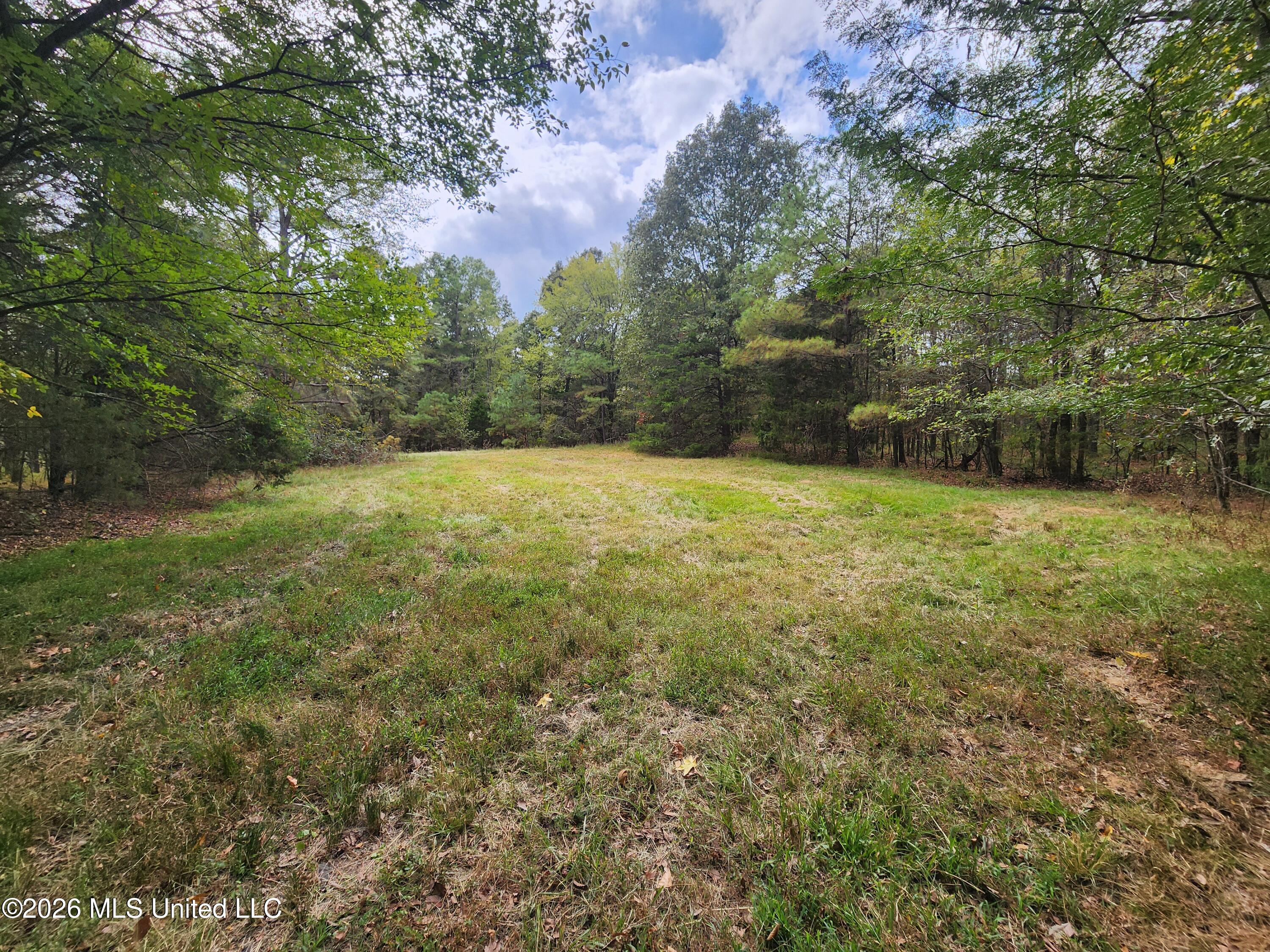 58 Rowell Road Property Photo 16