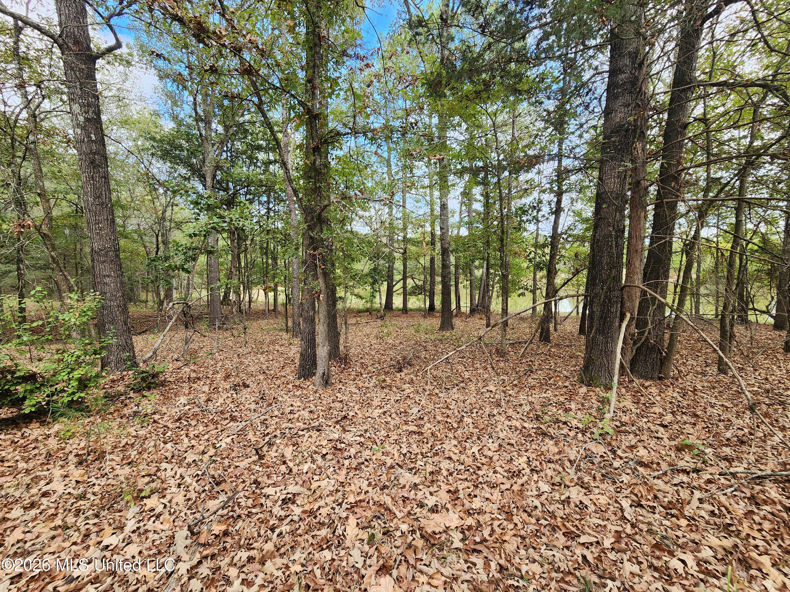 58 Rowell Road Property Photo 17
