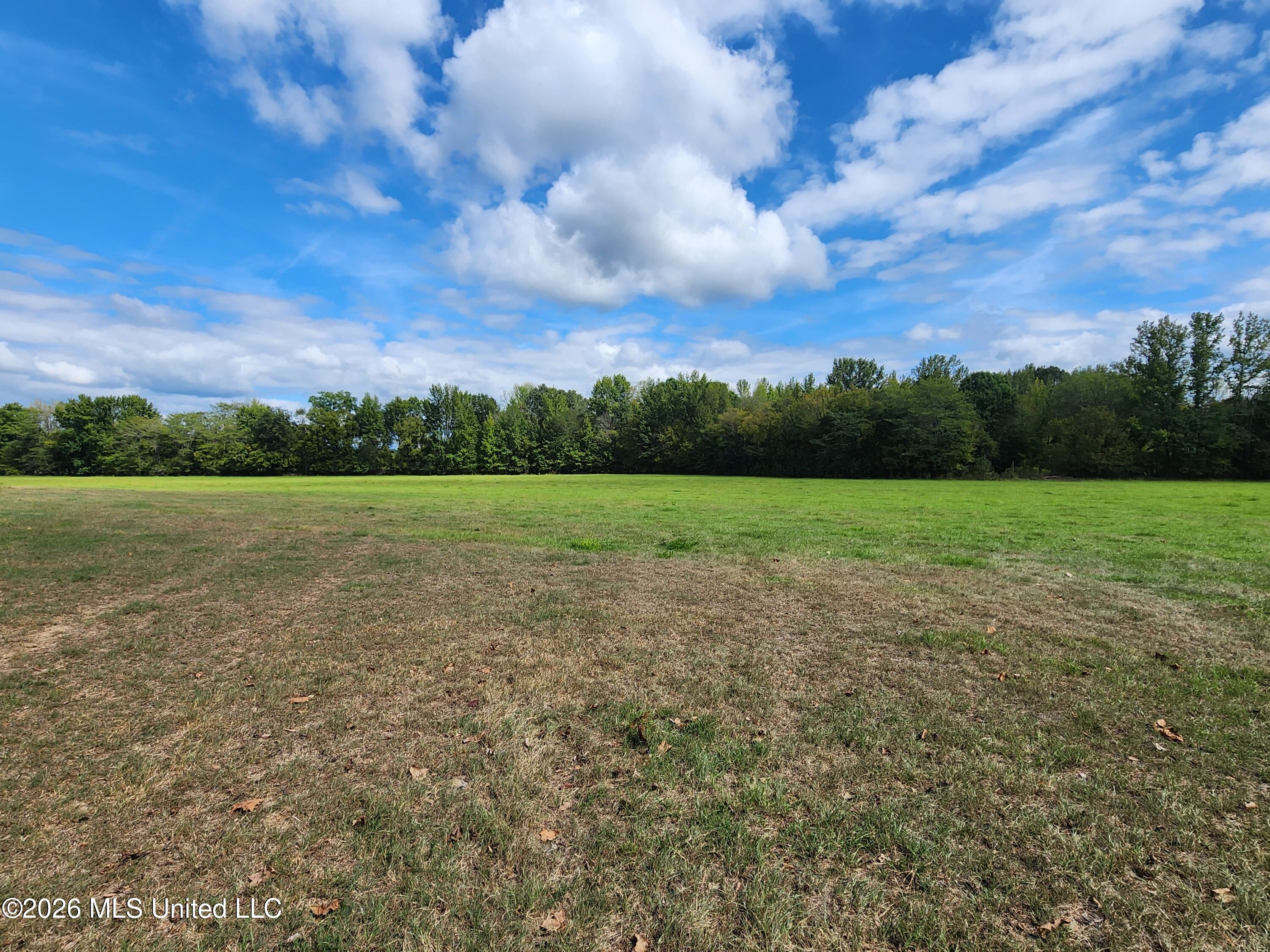 58 Rowell Road Property Photo 18