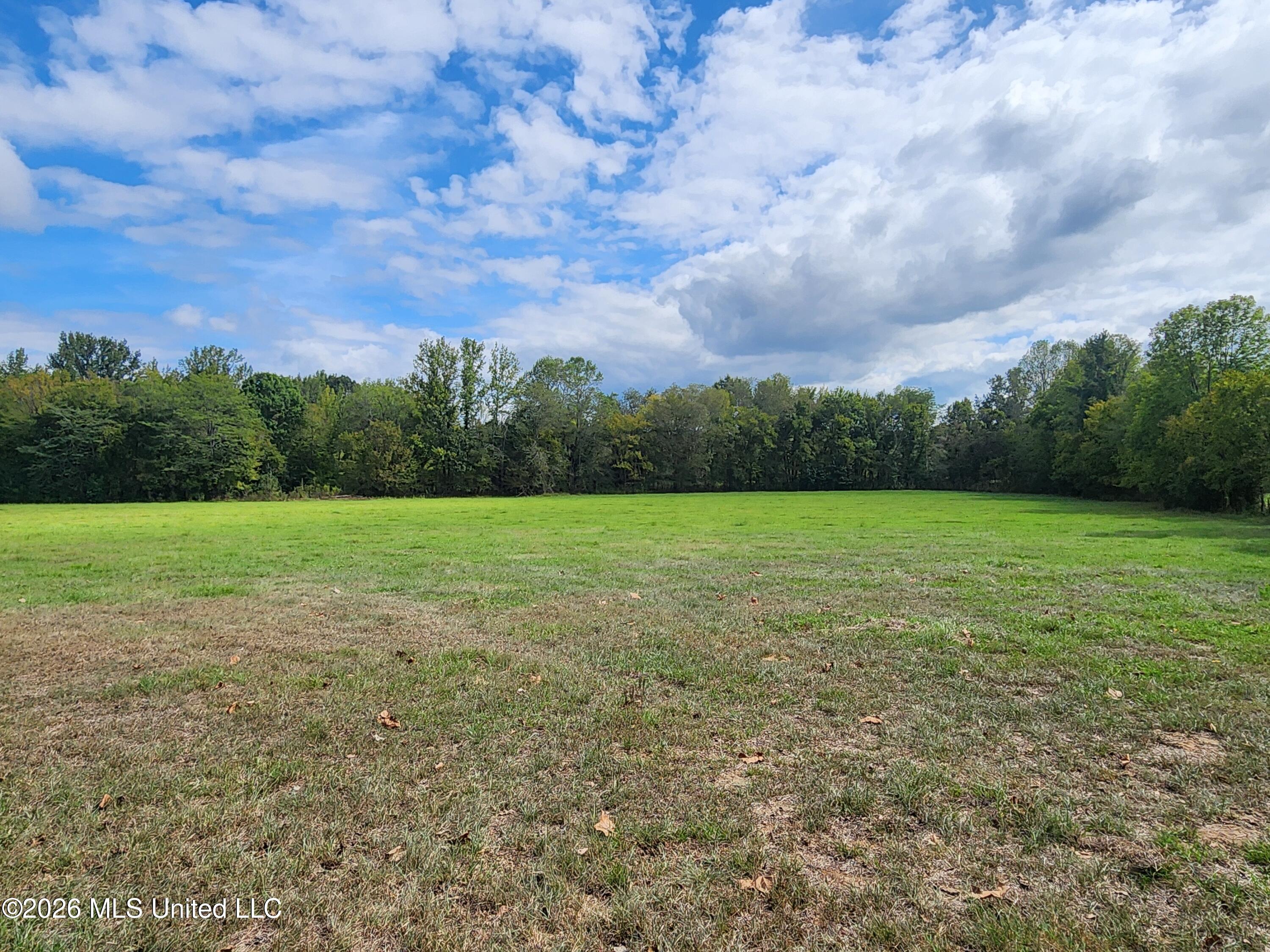 58 Rowell Road Property Photo 19