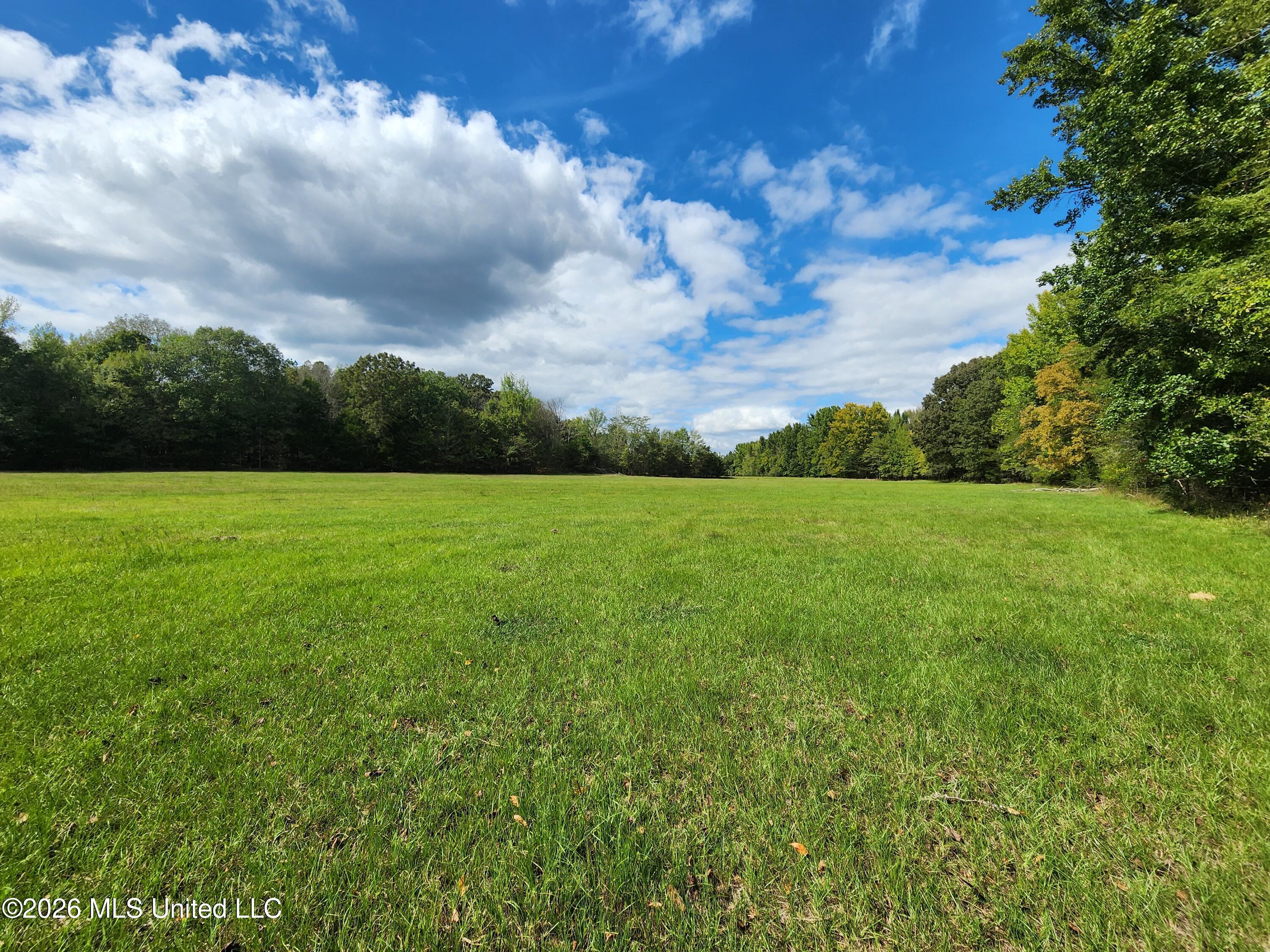 58 Rowell Road Property Photo 20
