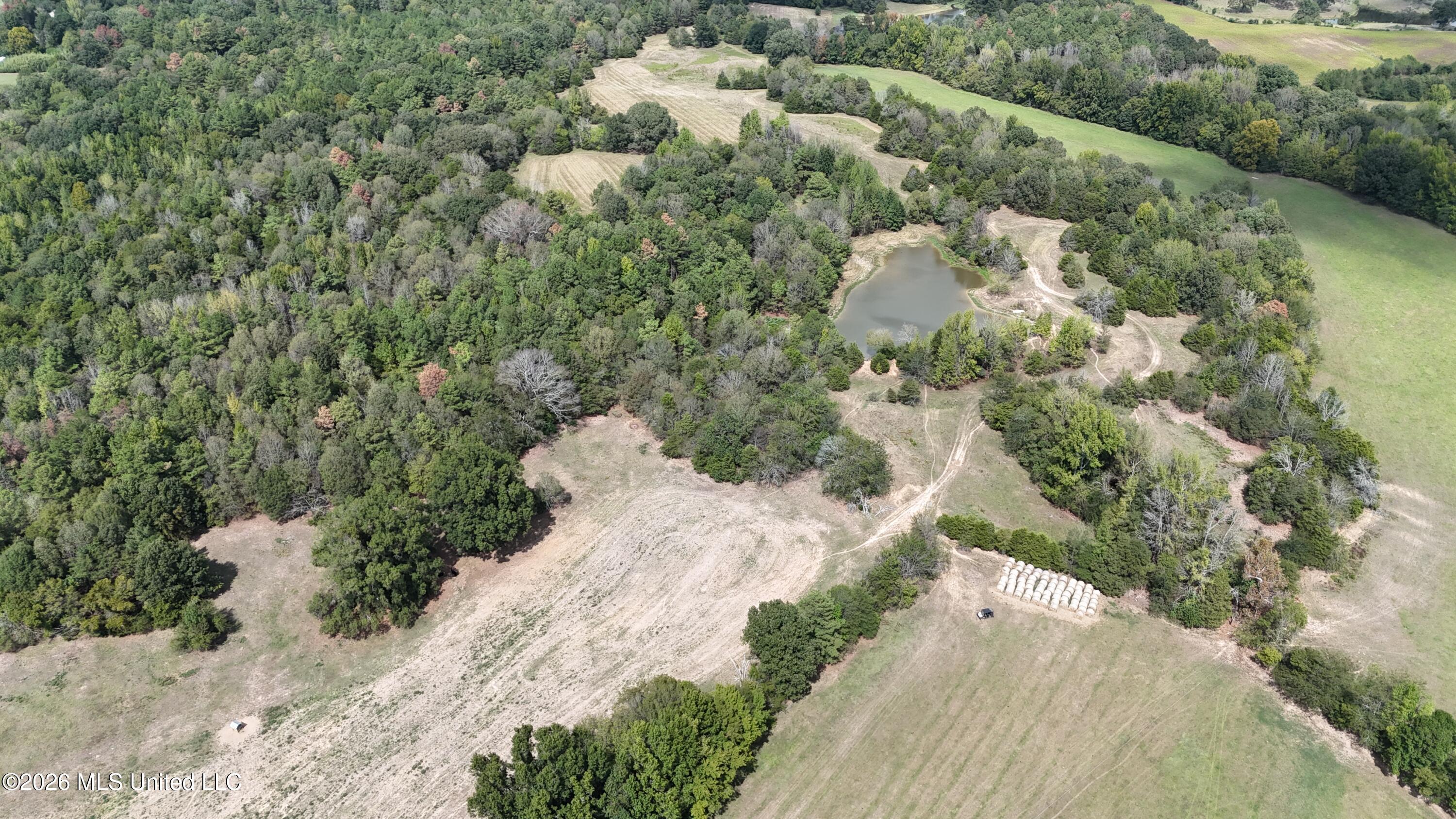 58 Rowell Road Property Photo 21