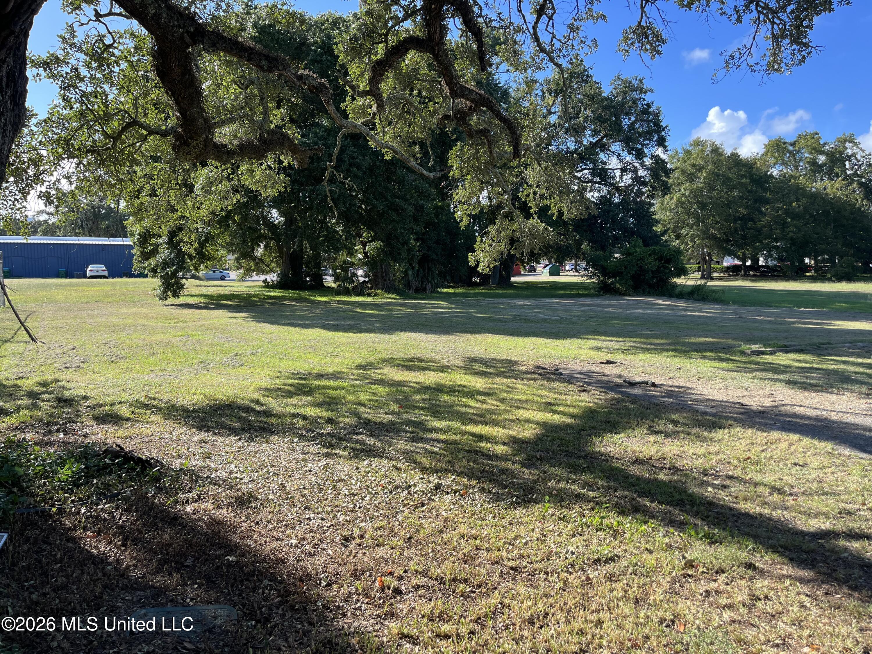 207 Palmetto Lane Property Photo 1