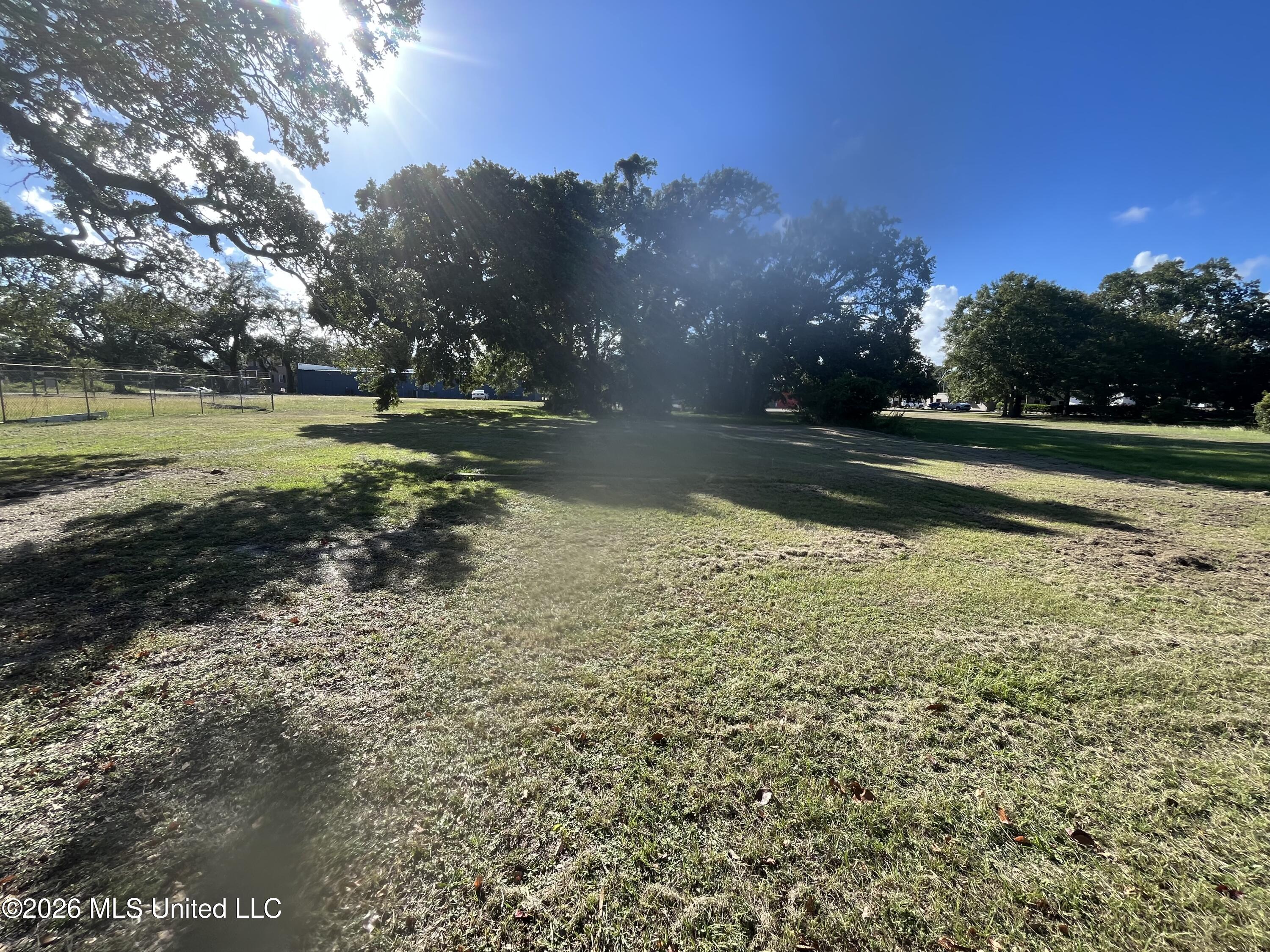 207 Palmetto Lane Property Photo 2