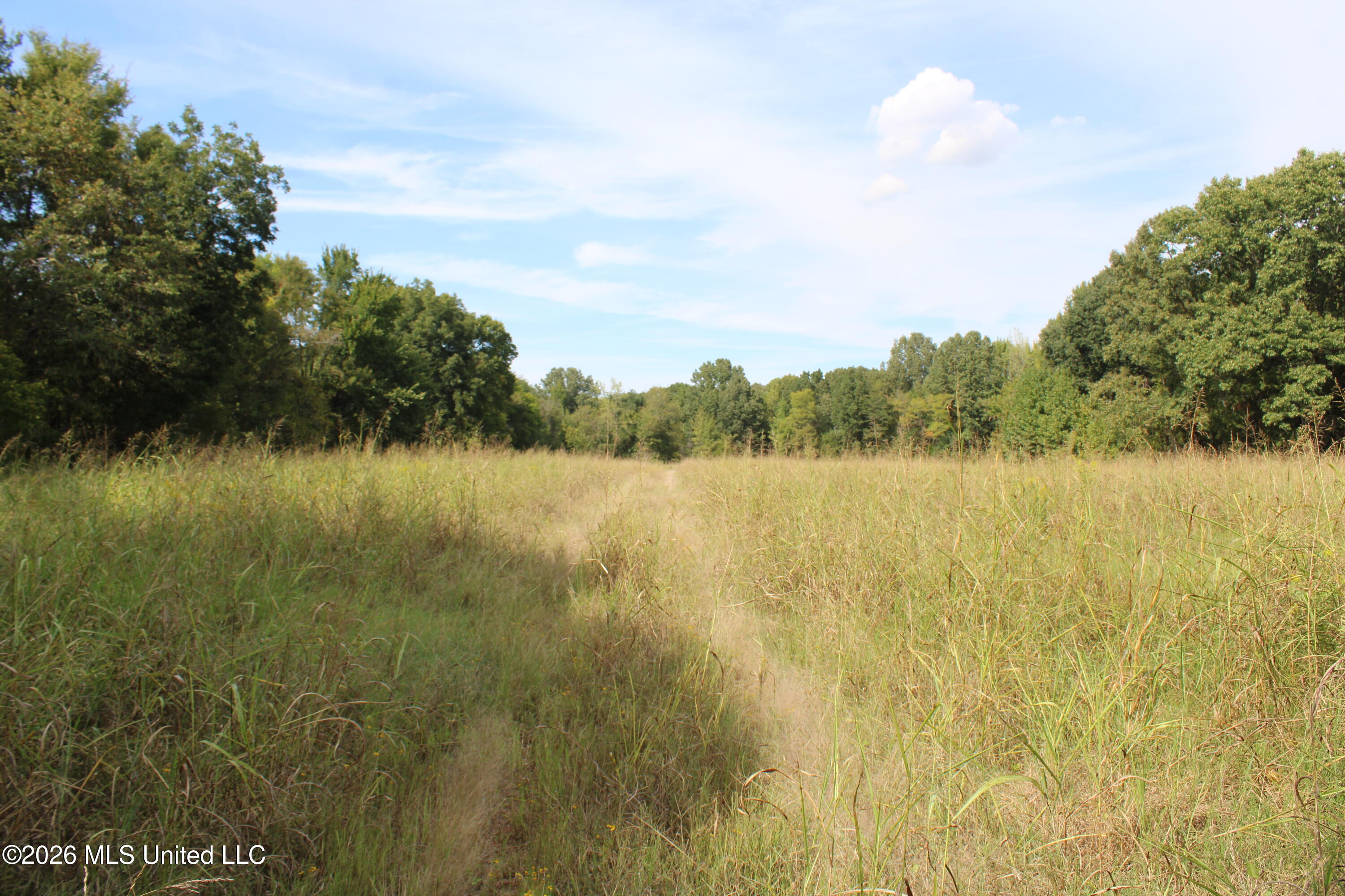 3 Horn Lake Road Property Photo 25