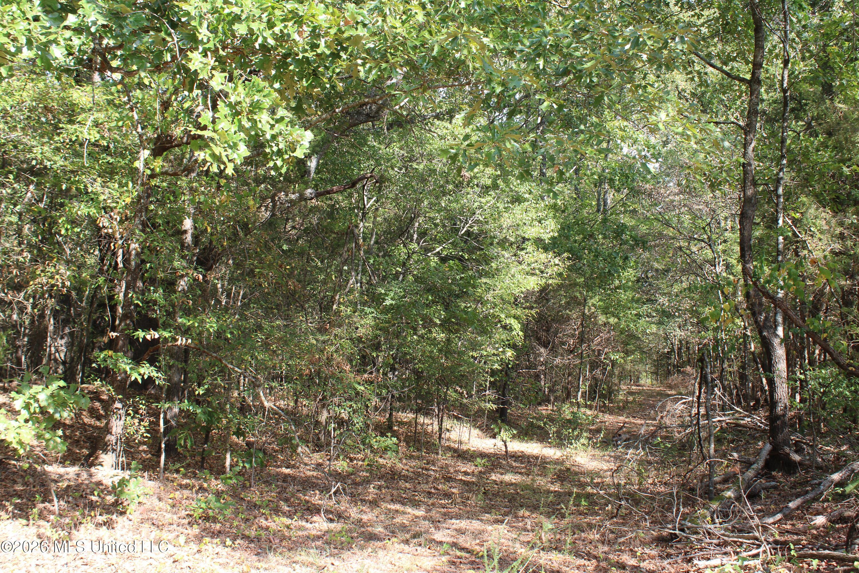 3 Horn Lake Road Property Photo 28