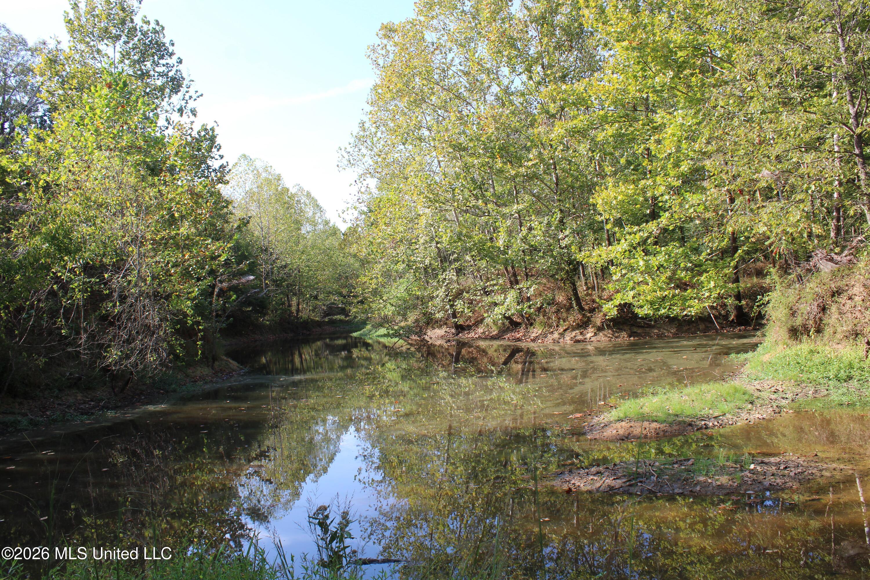 3 Horn Lake Road Property Photo 37