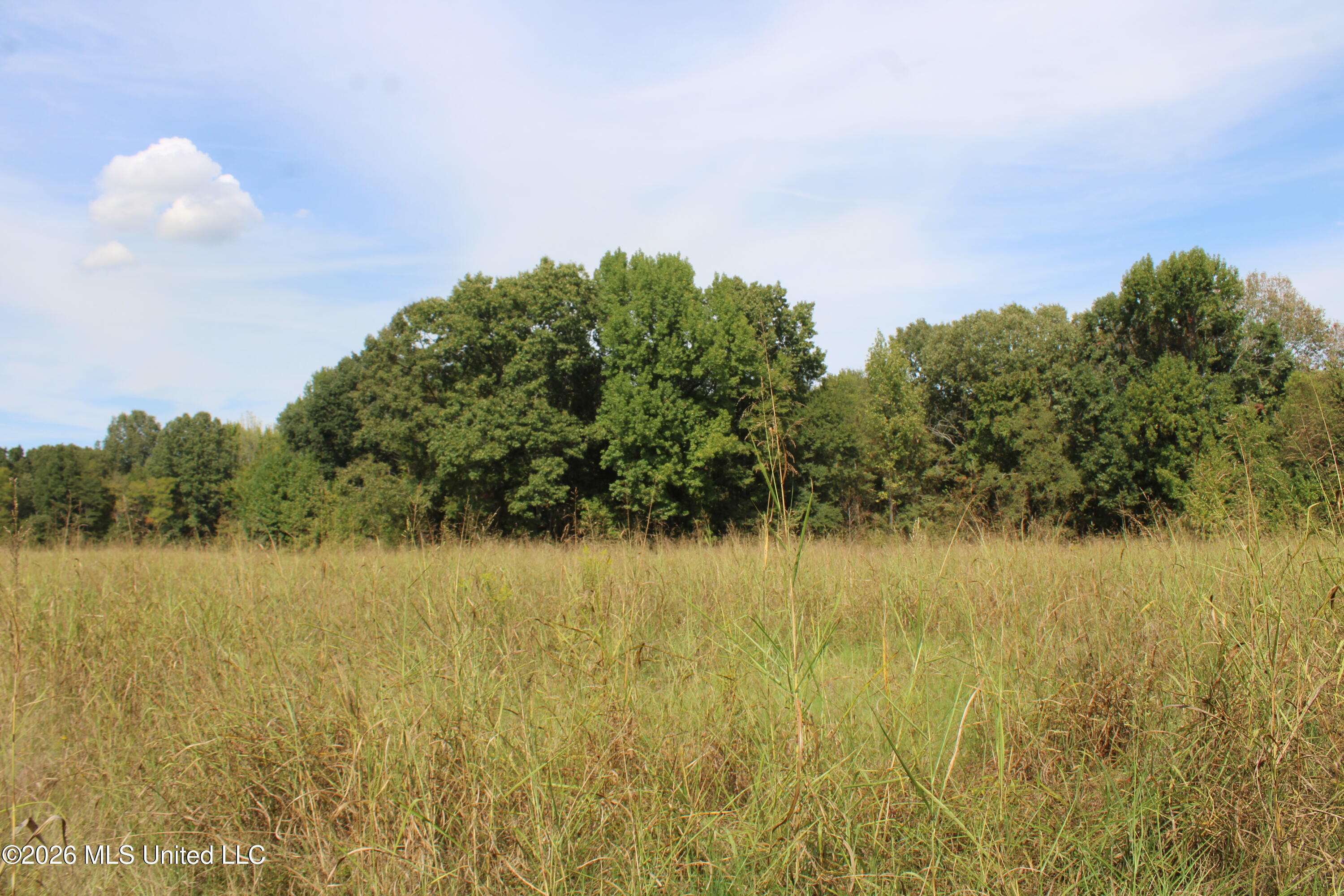 7 Star Landing Road Property Photo 35