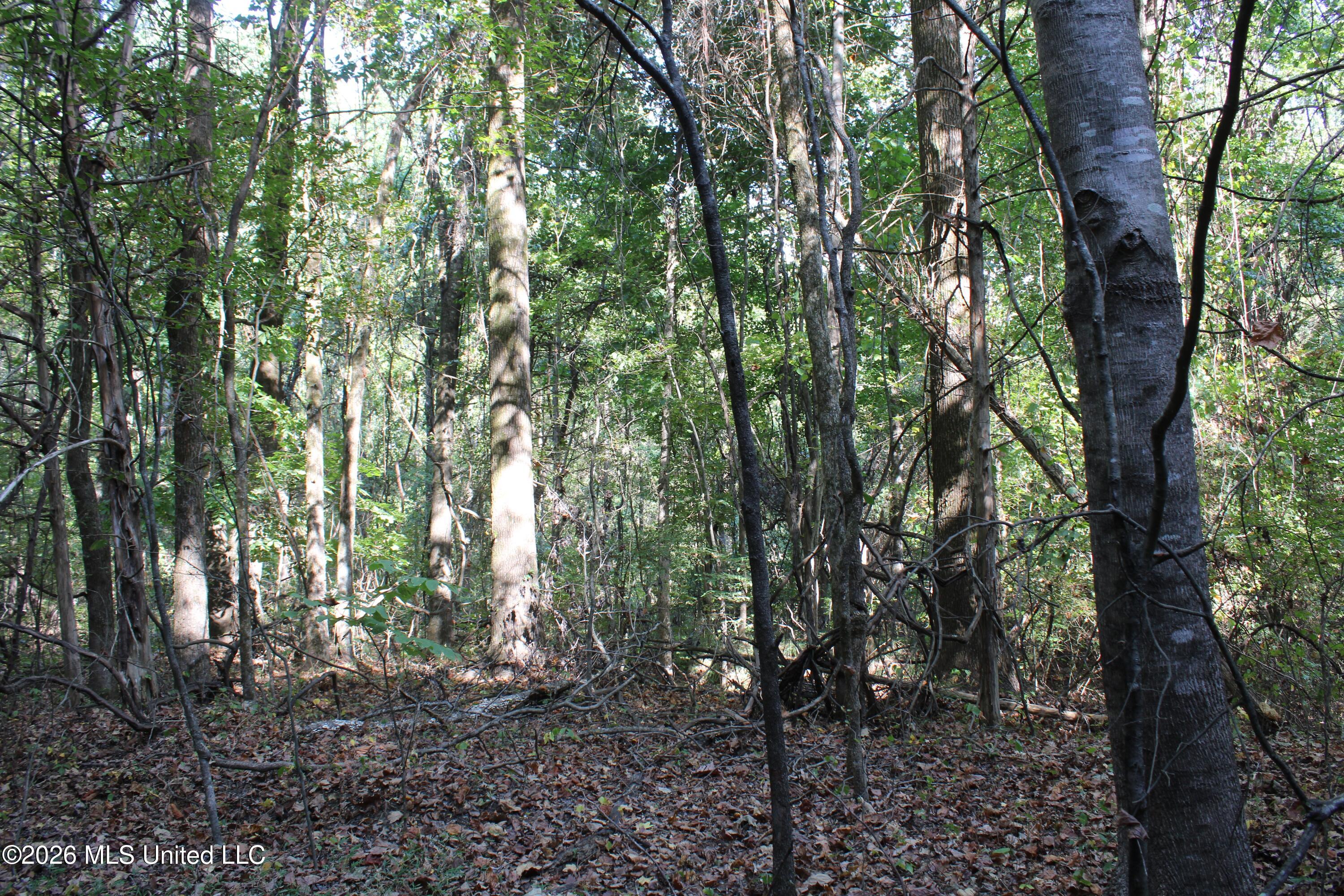7 Star Landing Road Property Photo 44