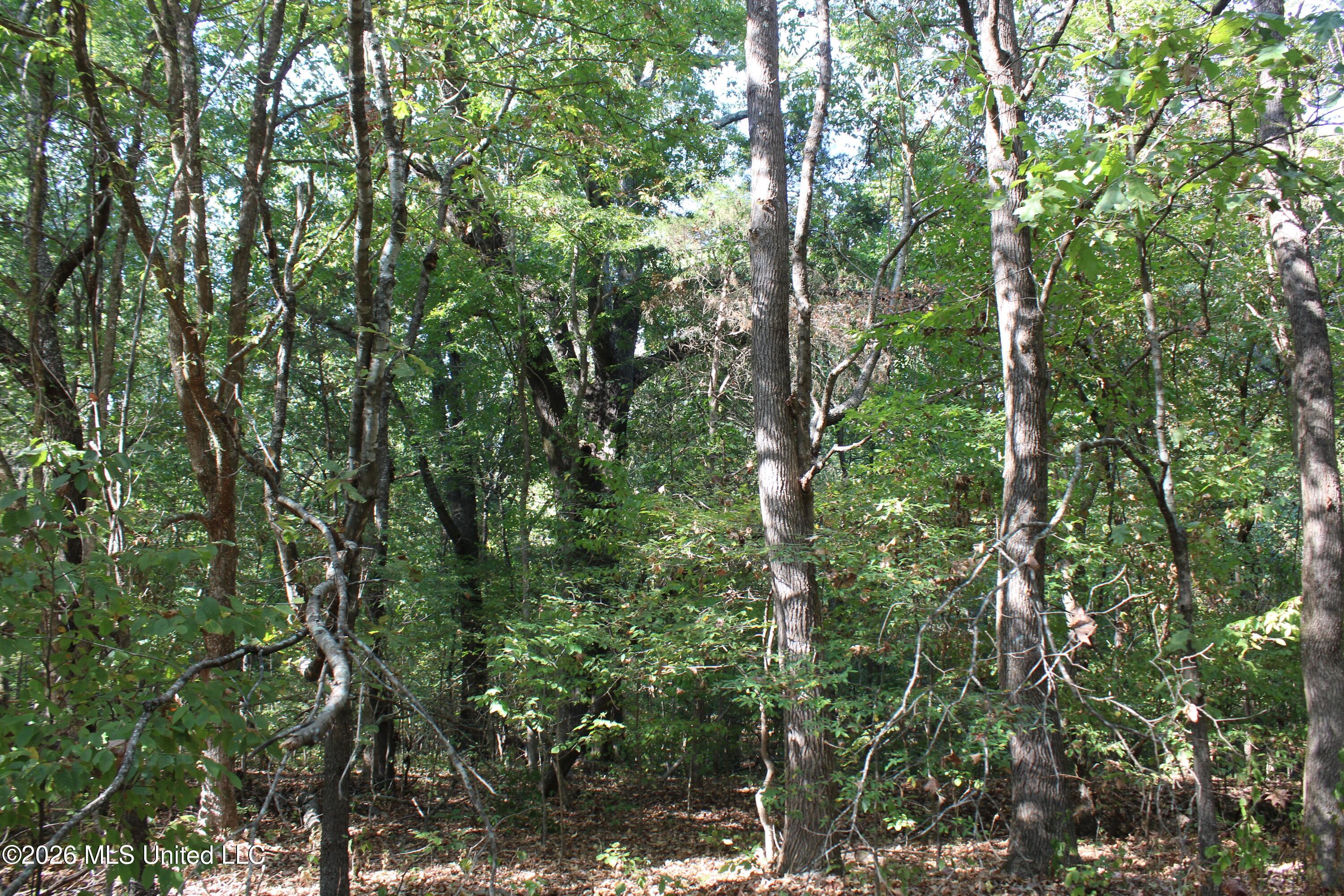 7 Star Landing Road Property Photo 49