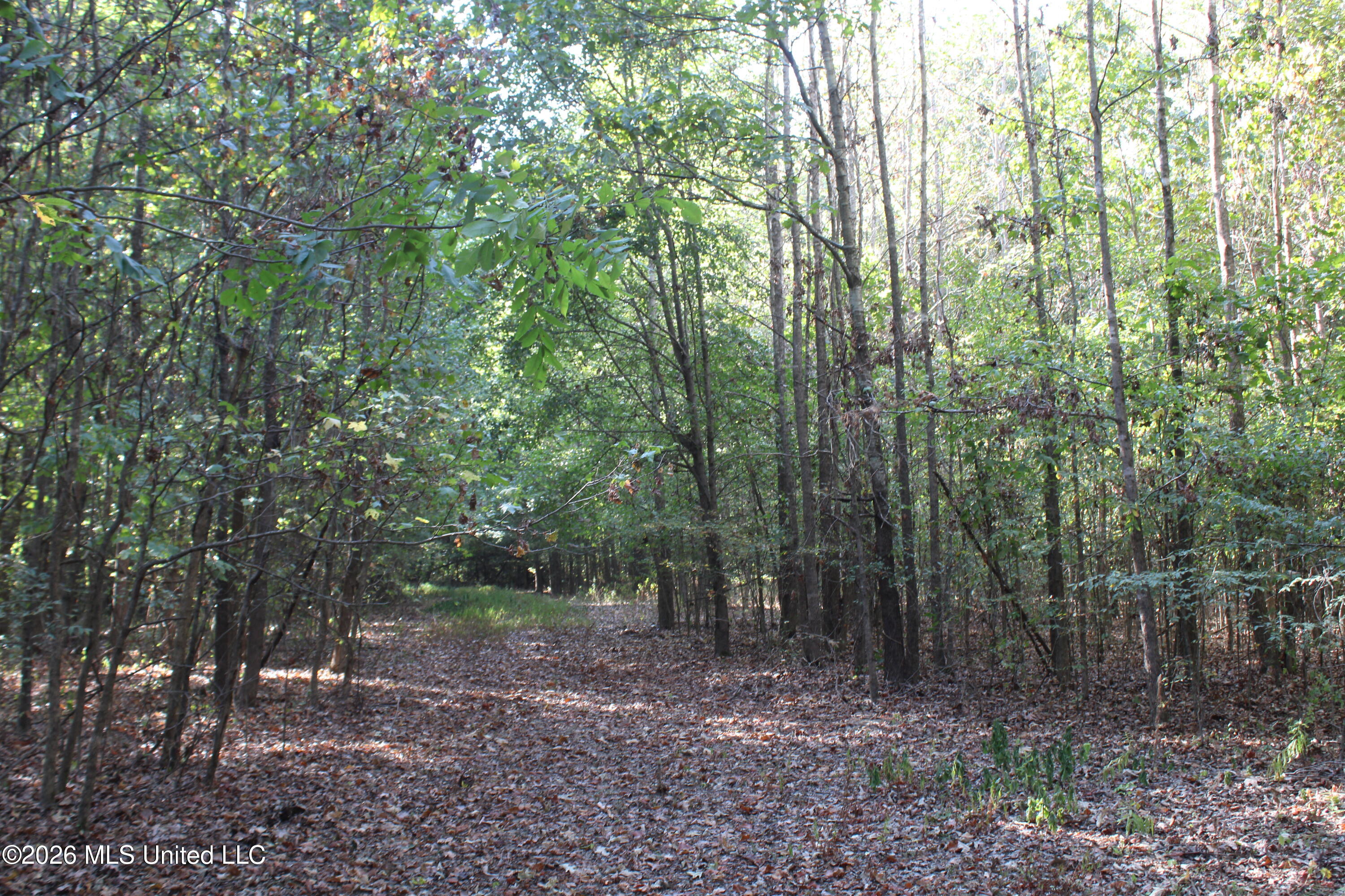7 Star Landing Road Property Photo 53