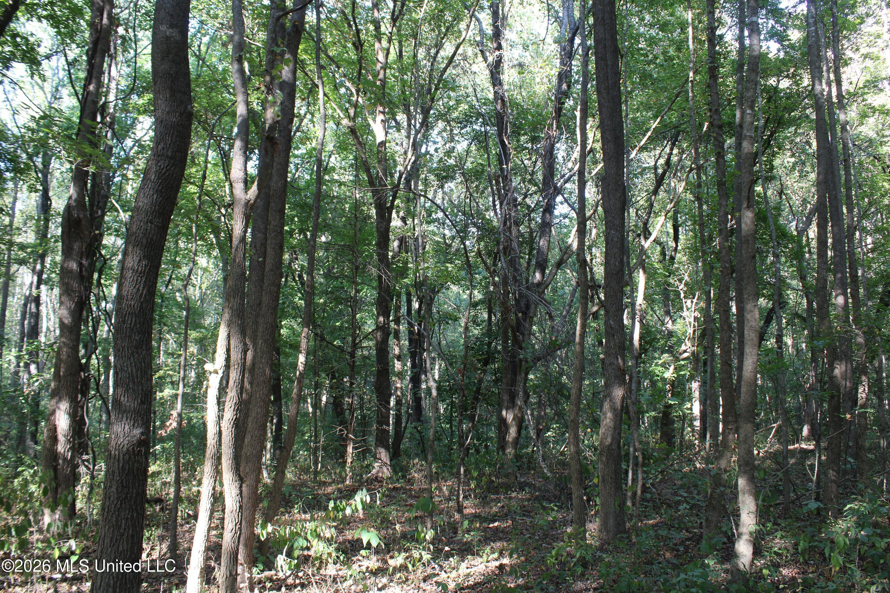 7 Star Landing Road Property Photo 57
