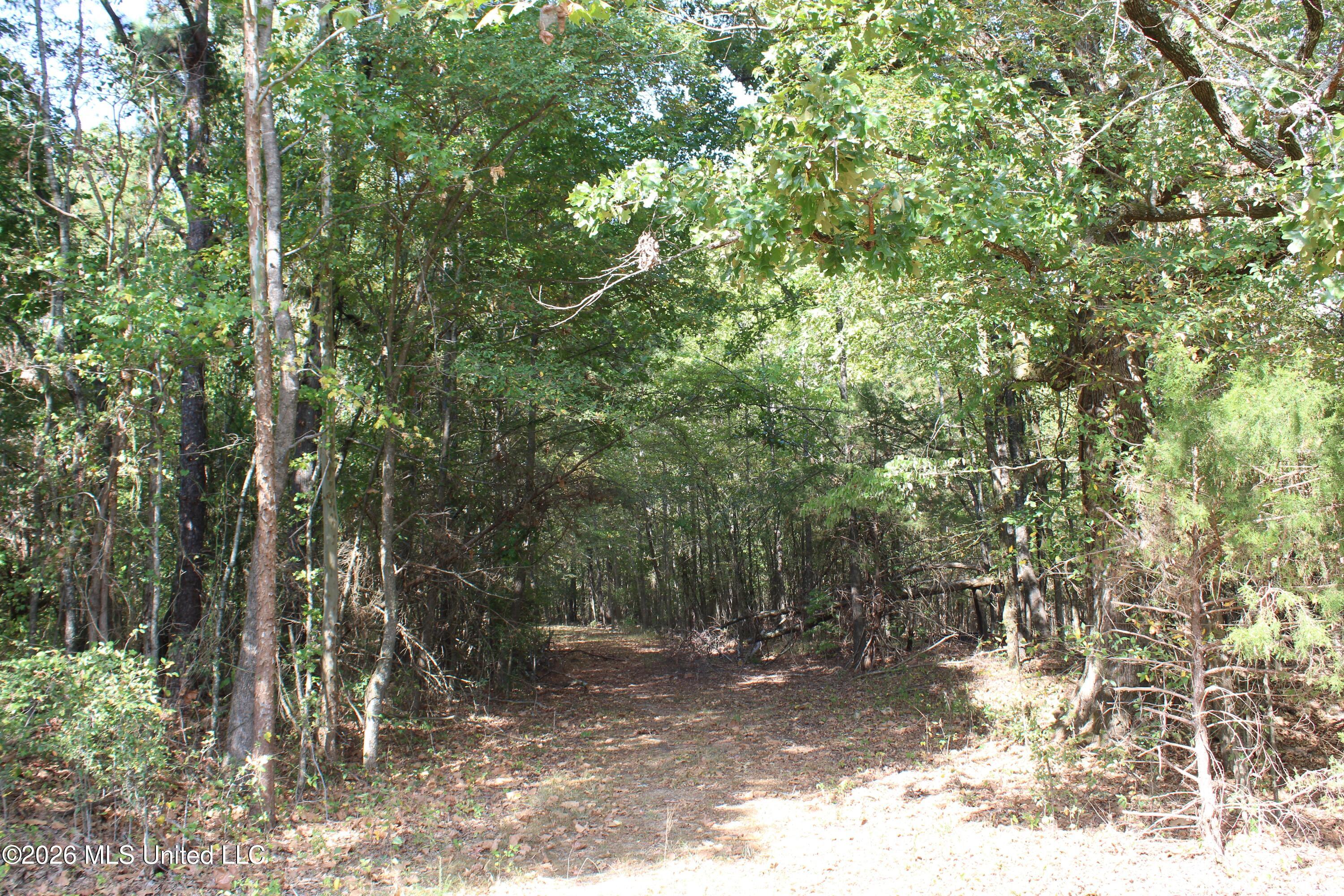 9 Star Landing Road Property Photo 40