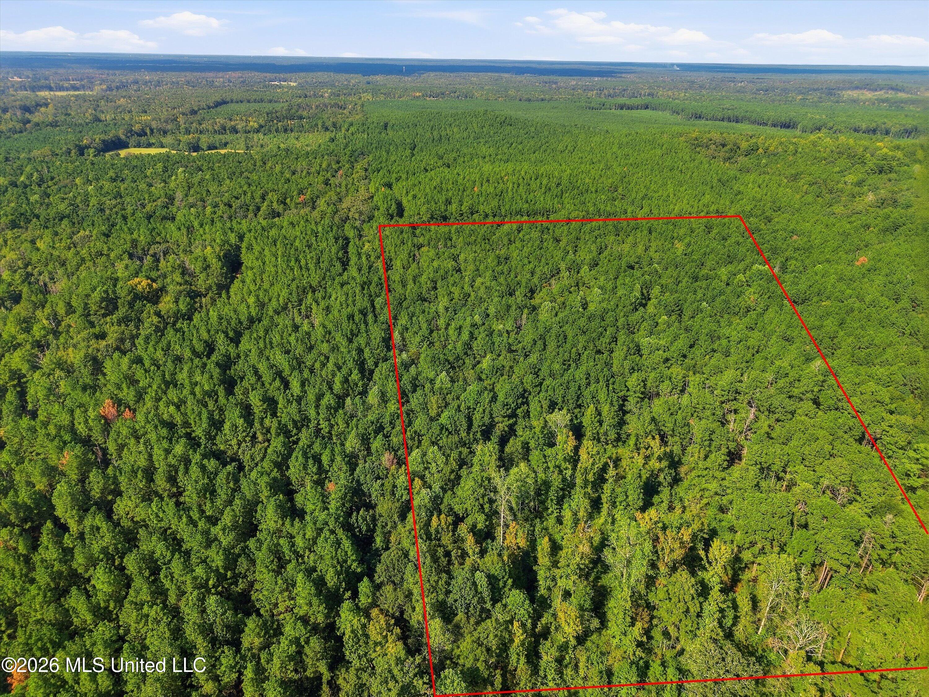 Levi Cooper Road Property Photo 2