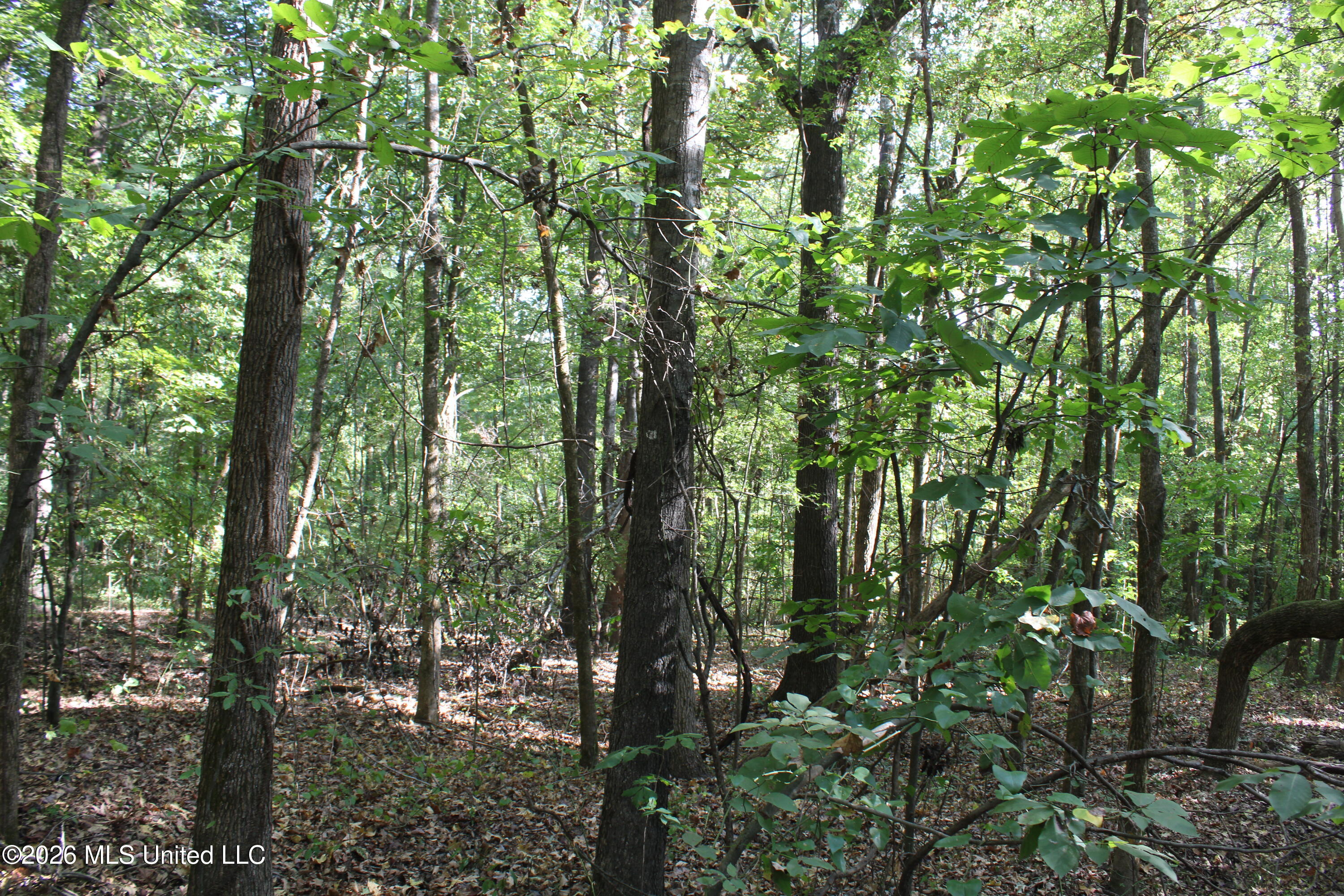 10 Star Landing Road Property Photo 3