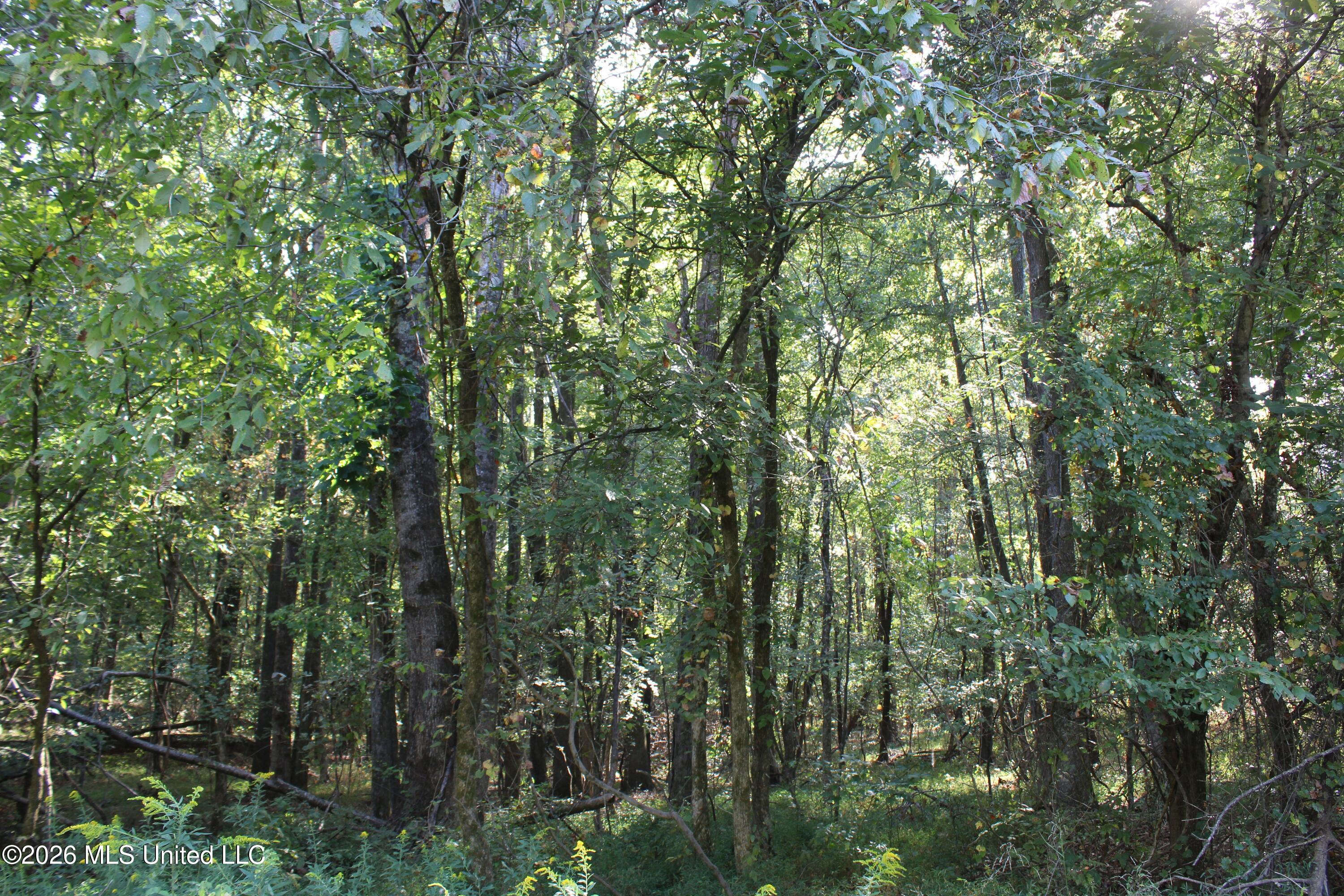 10 Star Landing Road Property Photo 49
