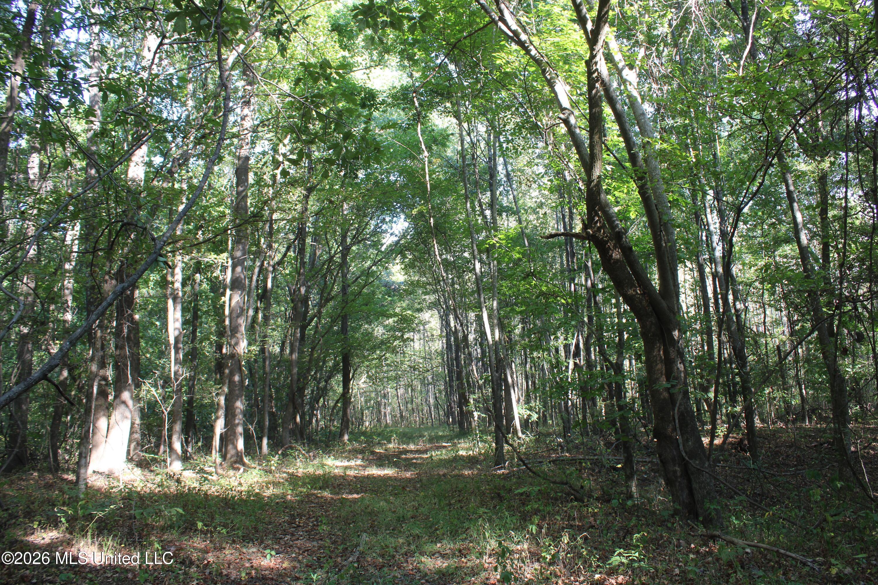 11 Star Landing Road Property Photo 3