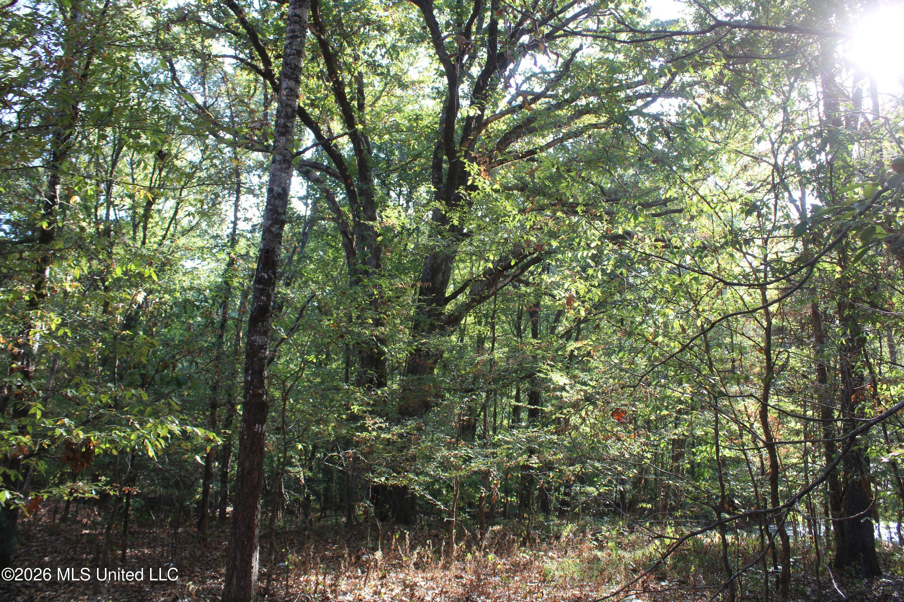 11 Star Landing Road Property Photo 4
